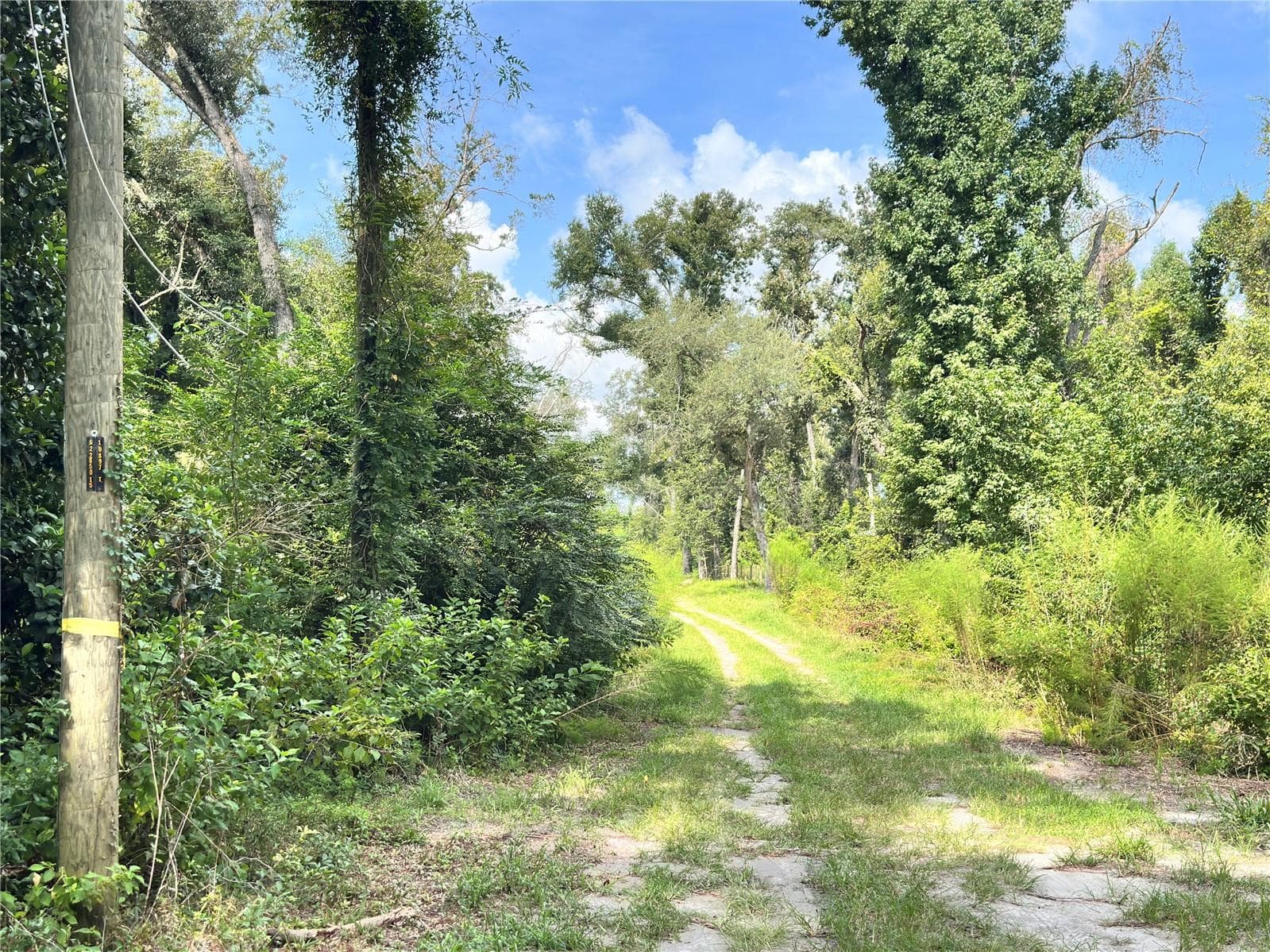 Land at NW WEST SOUTH DR, MAYO, photo 5 of 25