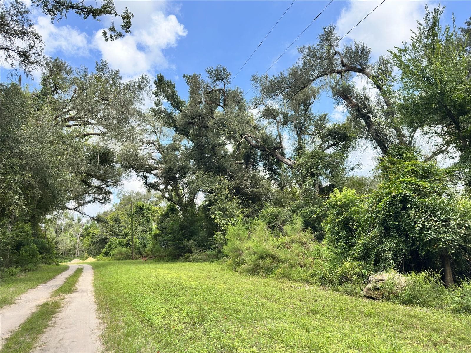Land at NW WEST SOUTH DR, MAYO, photo 14 of 25