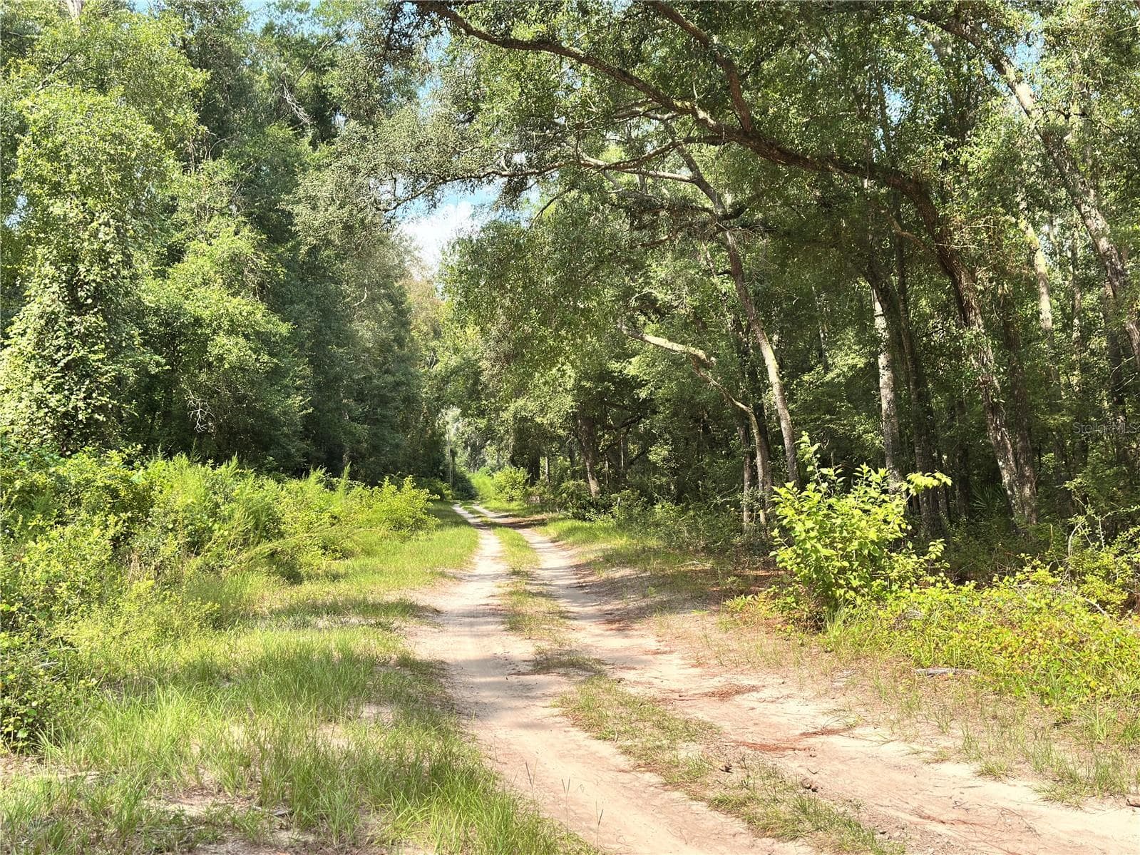 Land at NW WEST SOUTH DR, MAYO, photo 18 of 25