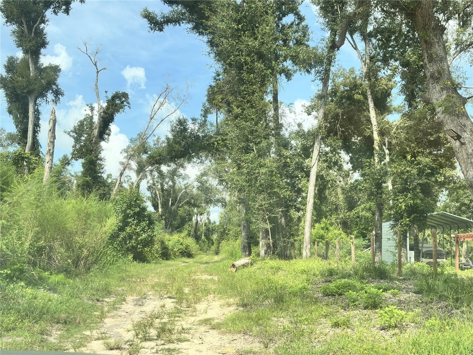 Land at NW WEST SOUTH DR, MAYO, photo 19 of 25