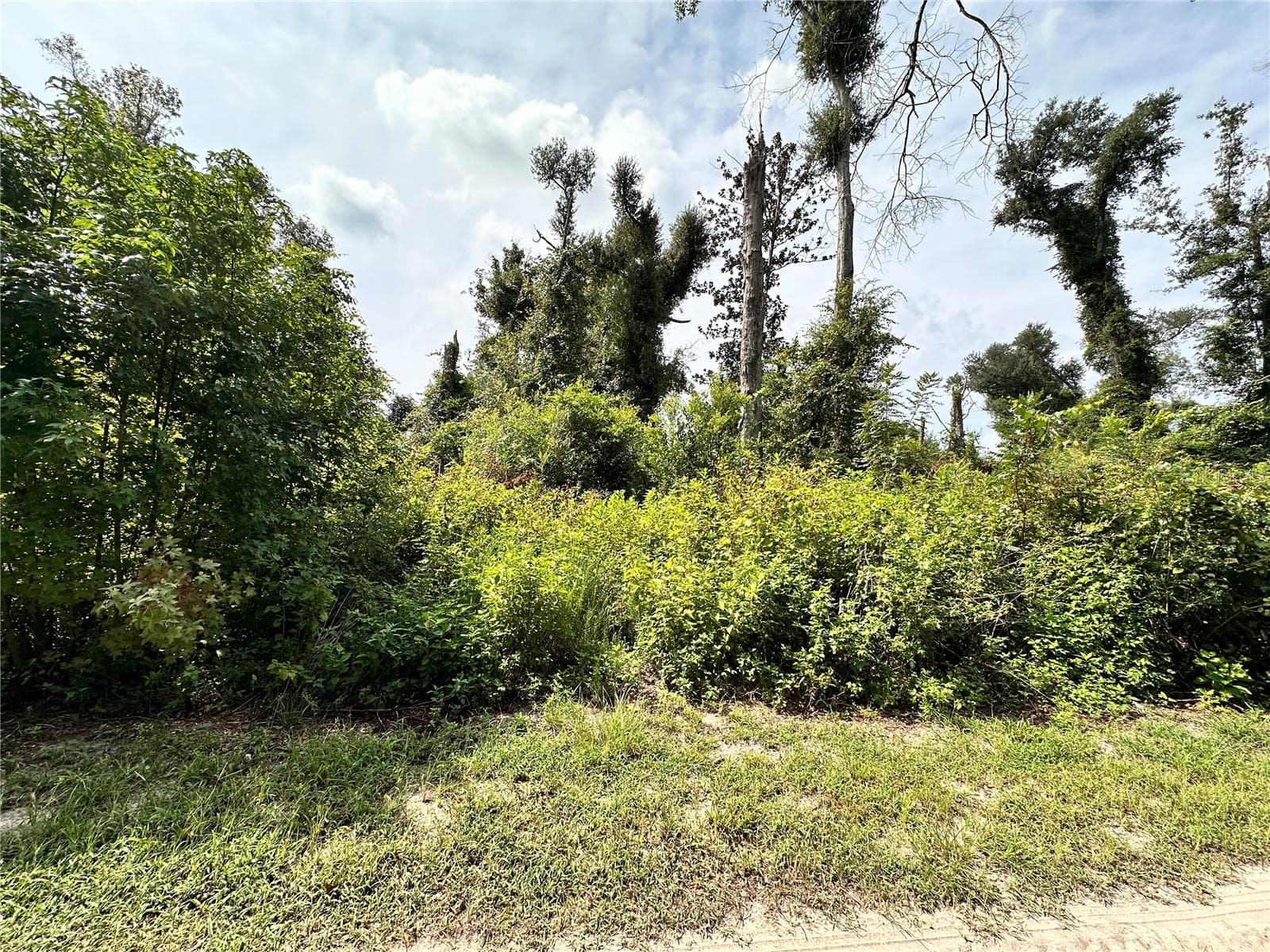 Land at NW WEST SOUTH DR, MAYO, photo 24 of 25