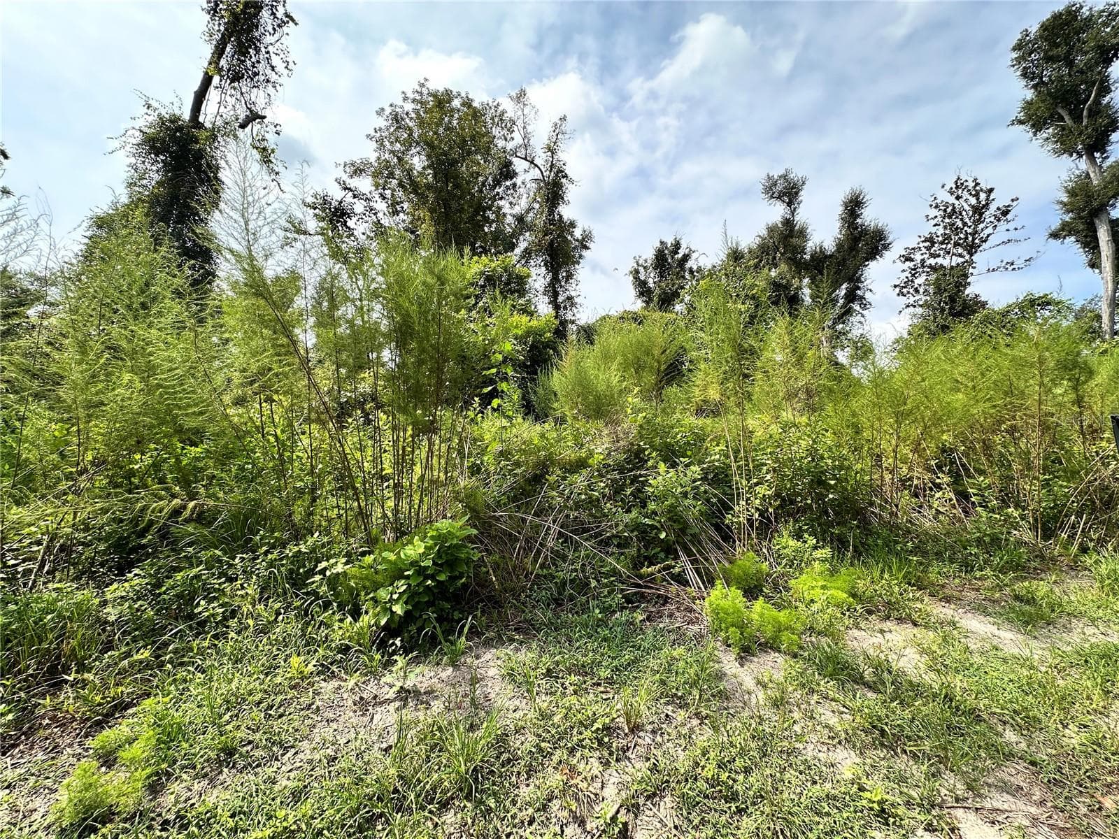 Land at NW WEST SOUTH DR, MAYO, photo 25 of 25