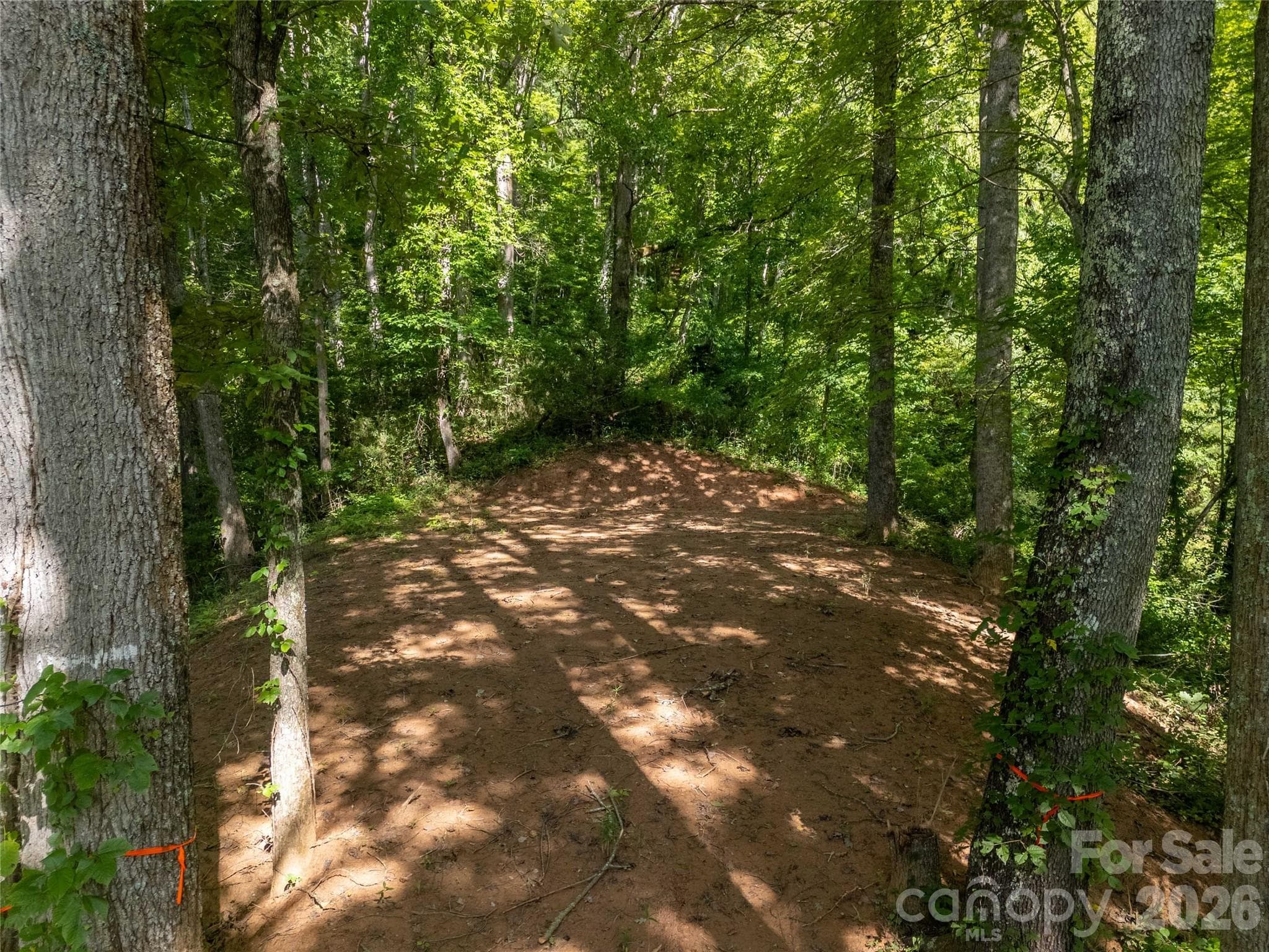 Lot D Claude Cook Road
