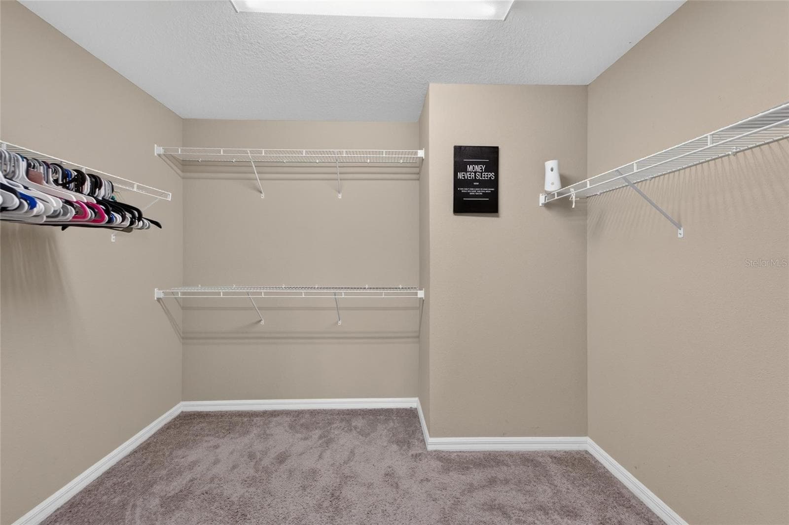 Single Family Residence at 9128 GRANT LINE LN, RIVERVIEW, photo 33 of 93