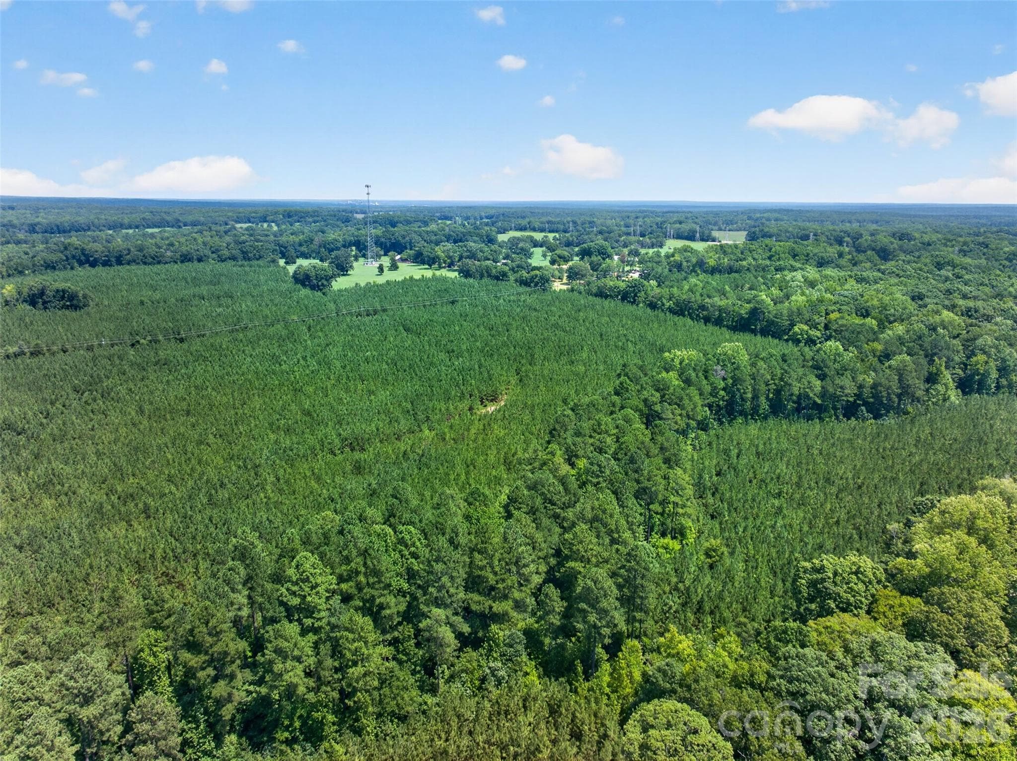 Pine production and mixed timber with creek through the property. Future owner can apply for deferred property taxes - 0000 Westbrook Road, Edgemoor