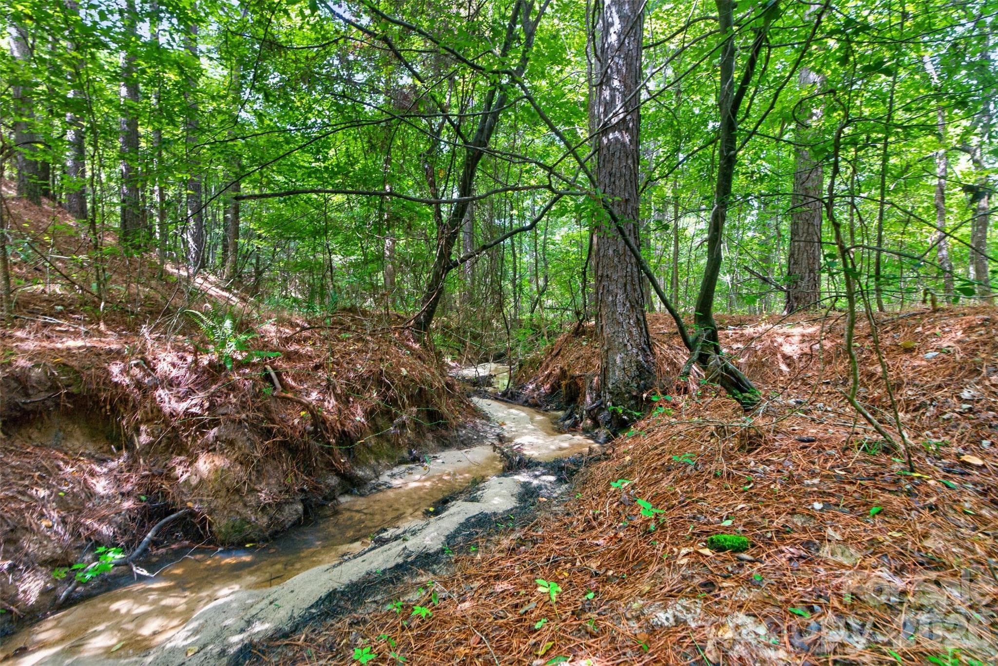 Creek rolling through the back of the property - 0000 Westbrook Road, Edgemoor