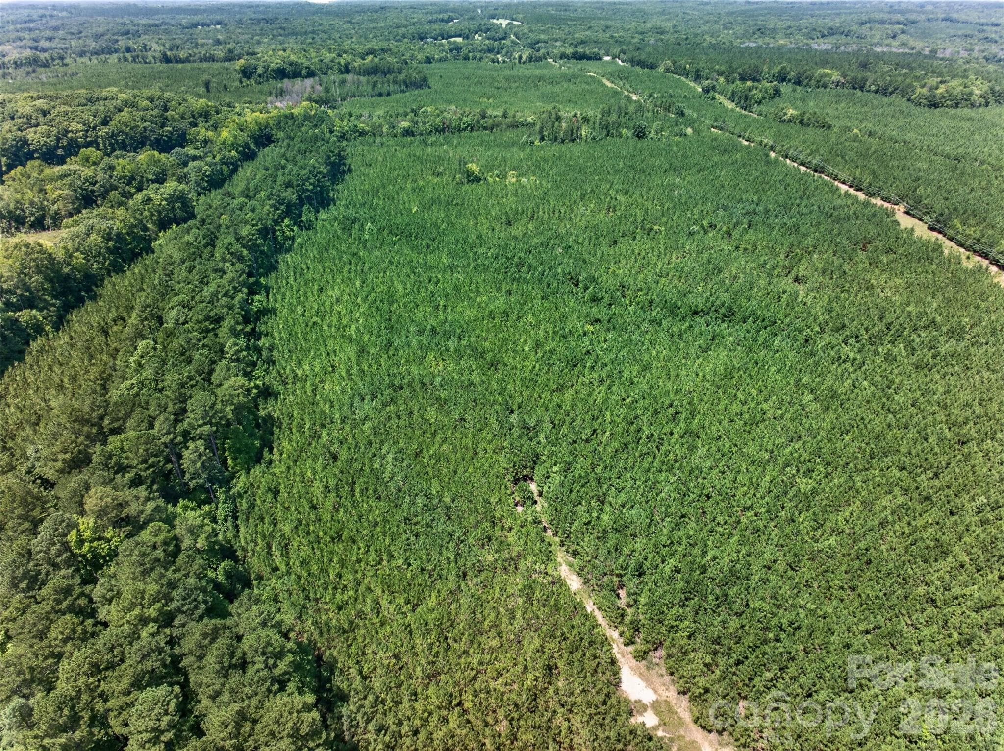 country setting for a large homestead and recreation property - 0000 Westbrook Road, Edgemoor