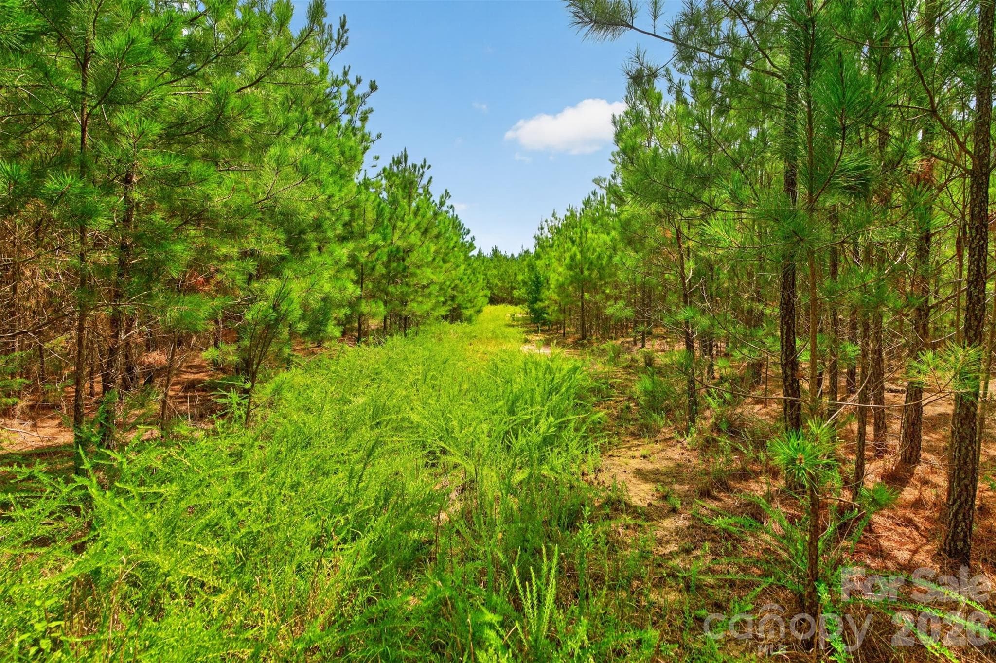 trail system - 0000 Westbrook Road, Edgemoor