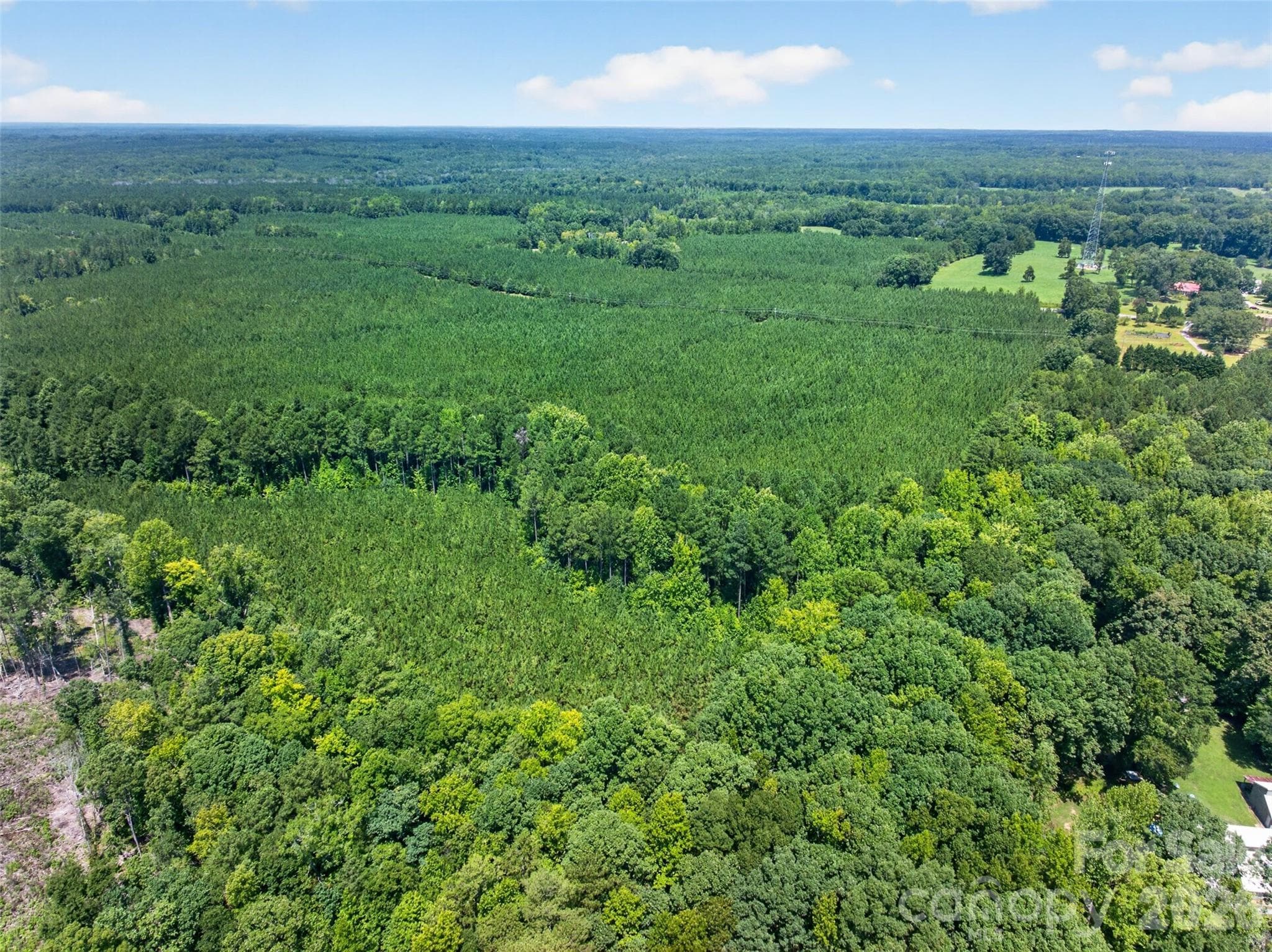 peaceful country setting and homestead - 0000 Westbrook Road, Edgemoor