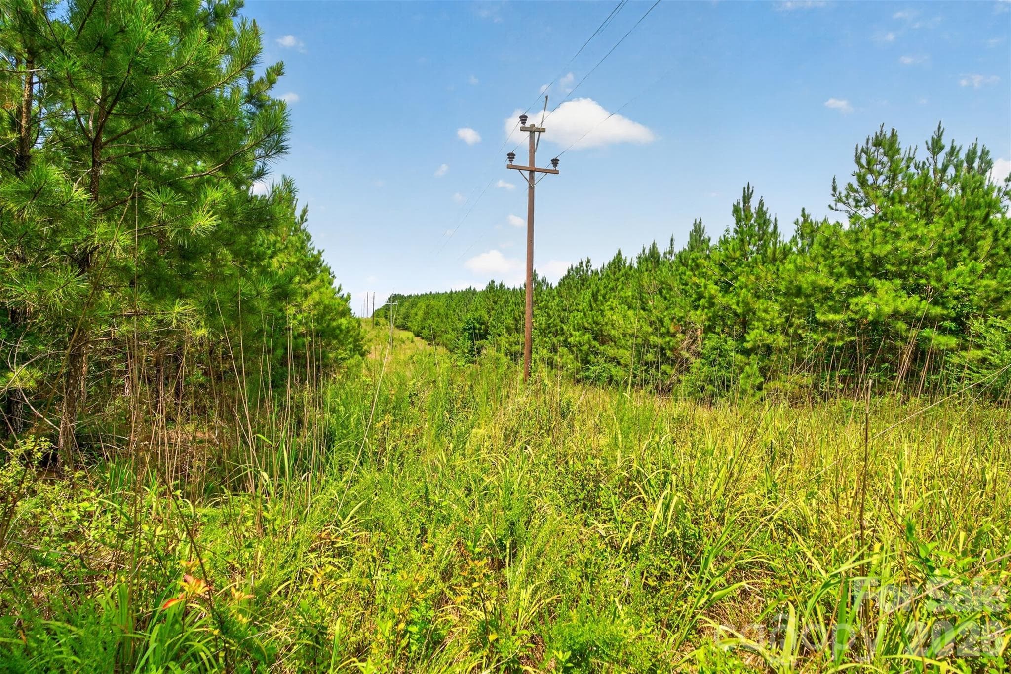 Acreage at 0000 Westbrook Road, Edgemoor, photo 9 of 48