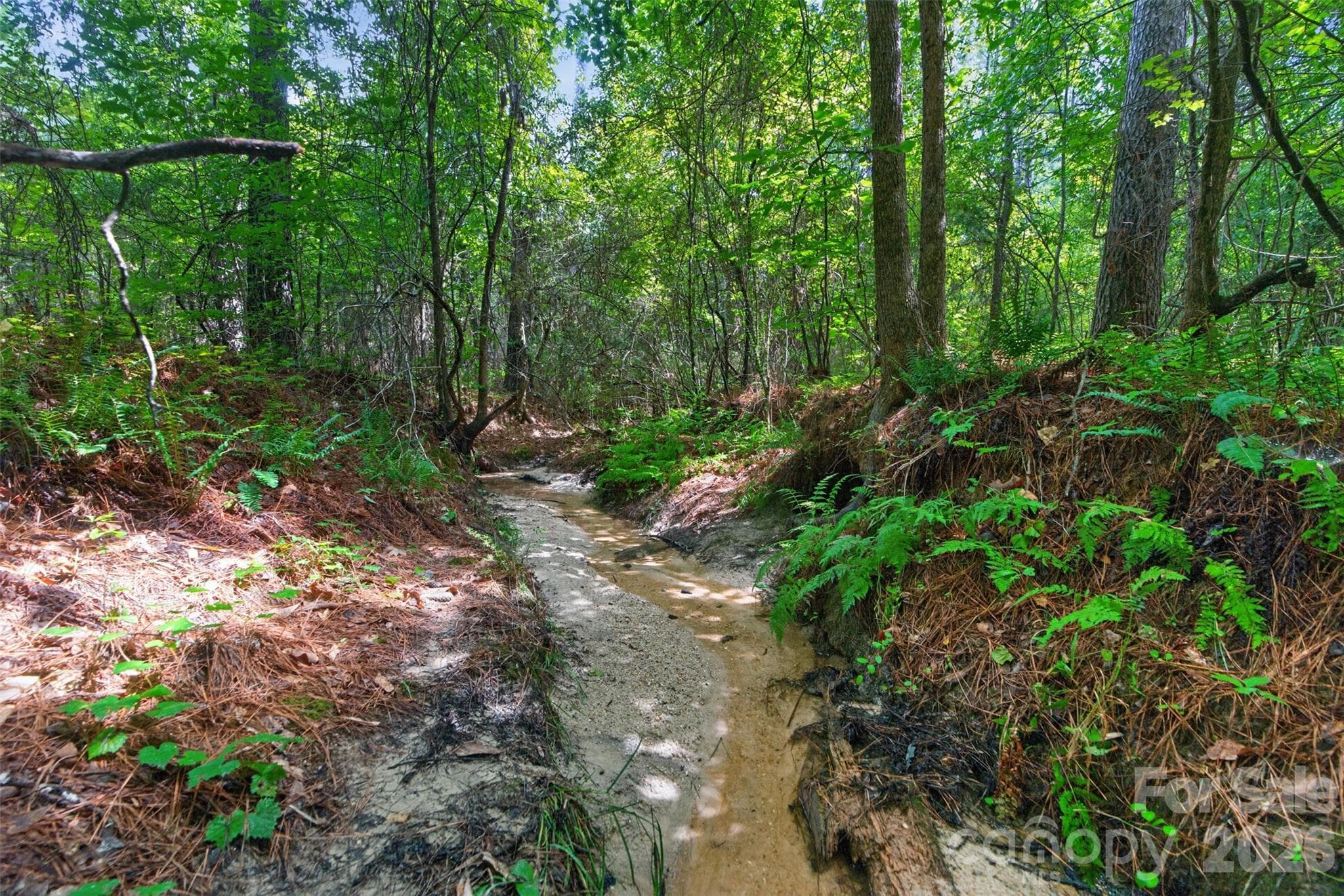 Acreage at 0000 Westbrook Road, Edgemoor, photo 13 of 48