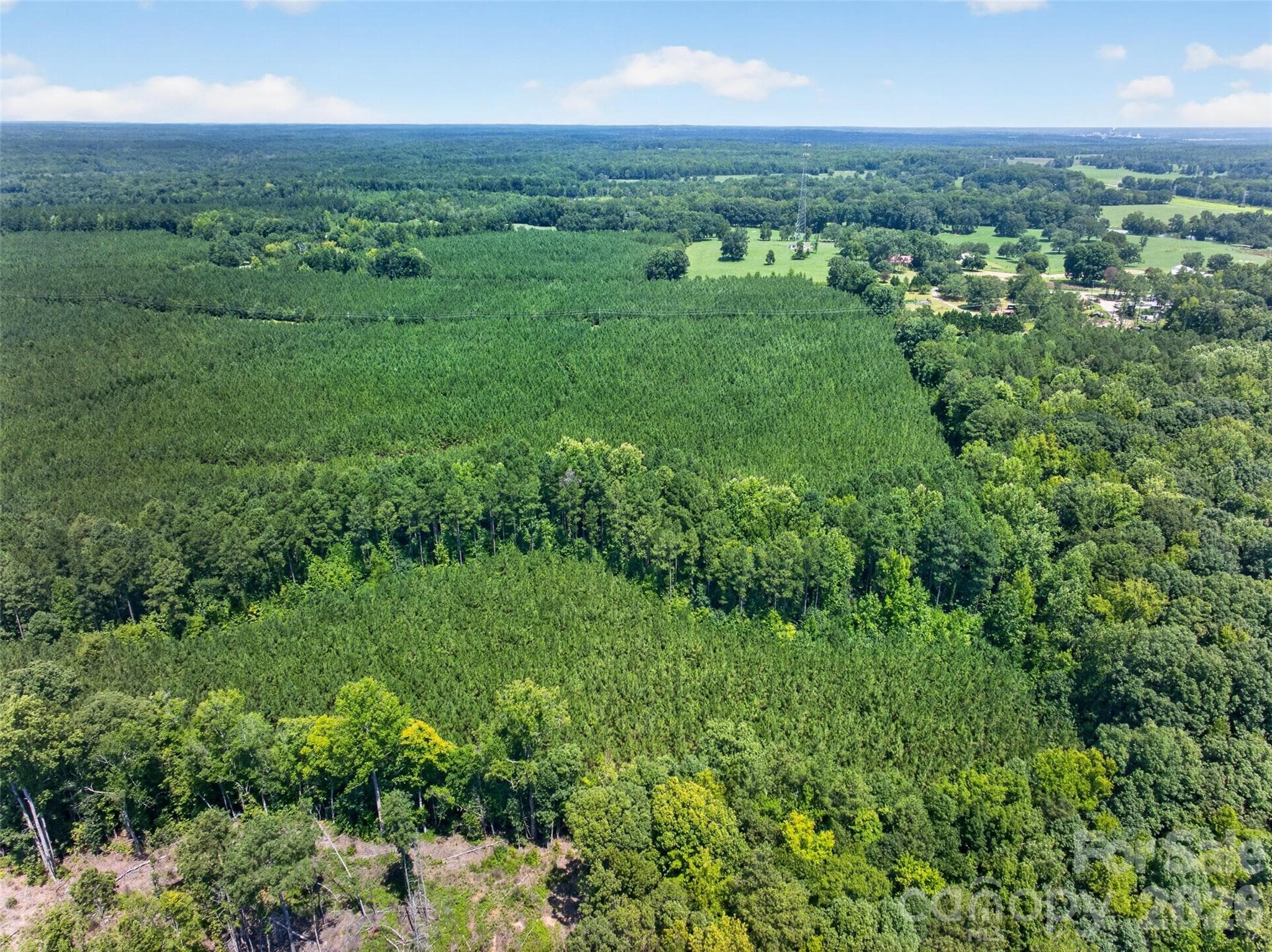 Acreage at 0000 Westbrook Road, Edgemoor, photo 16 of 48
