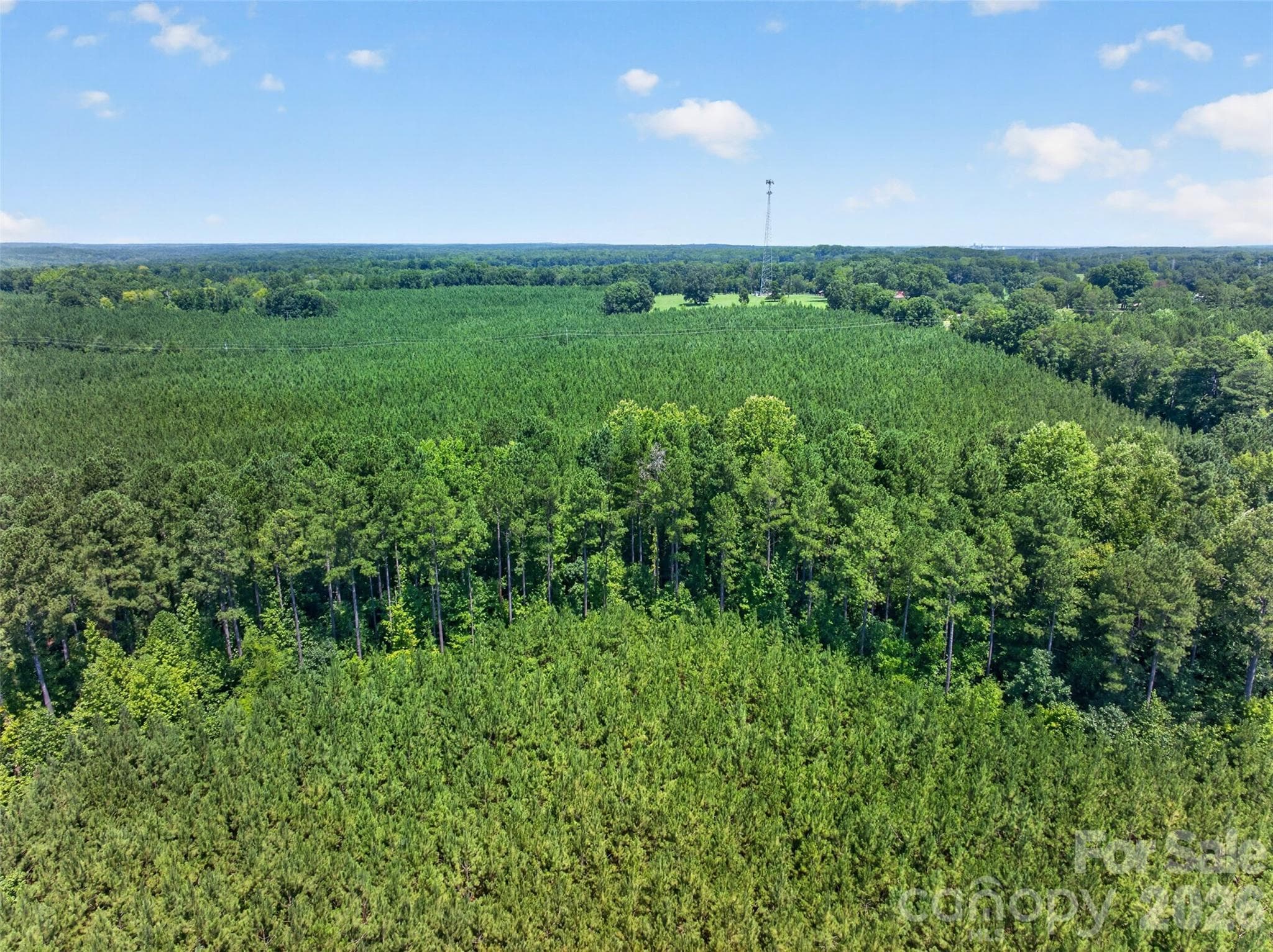 Acreage at 0000 Westbrook Road, Edgemoor, photo 17 of 48