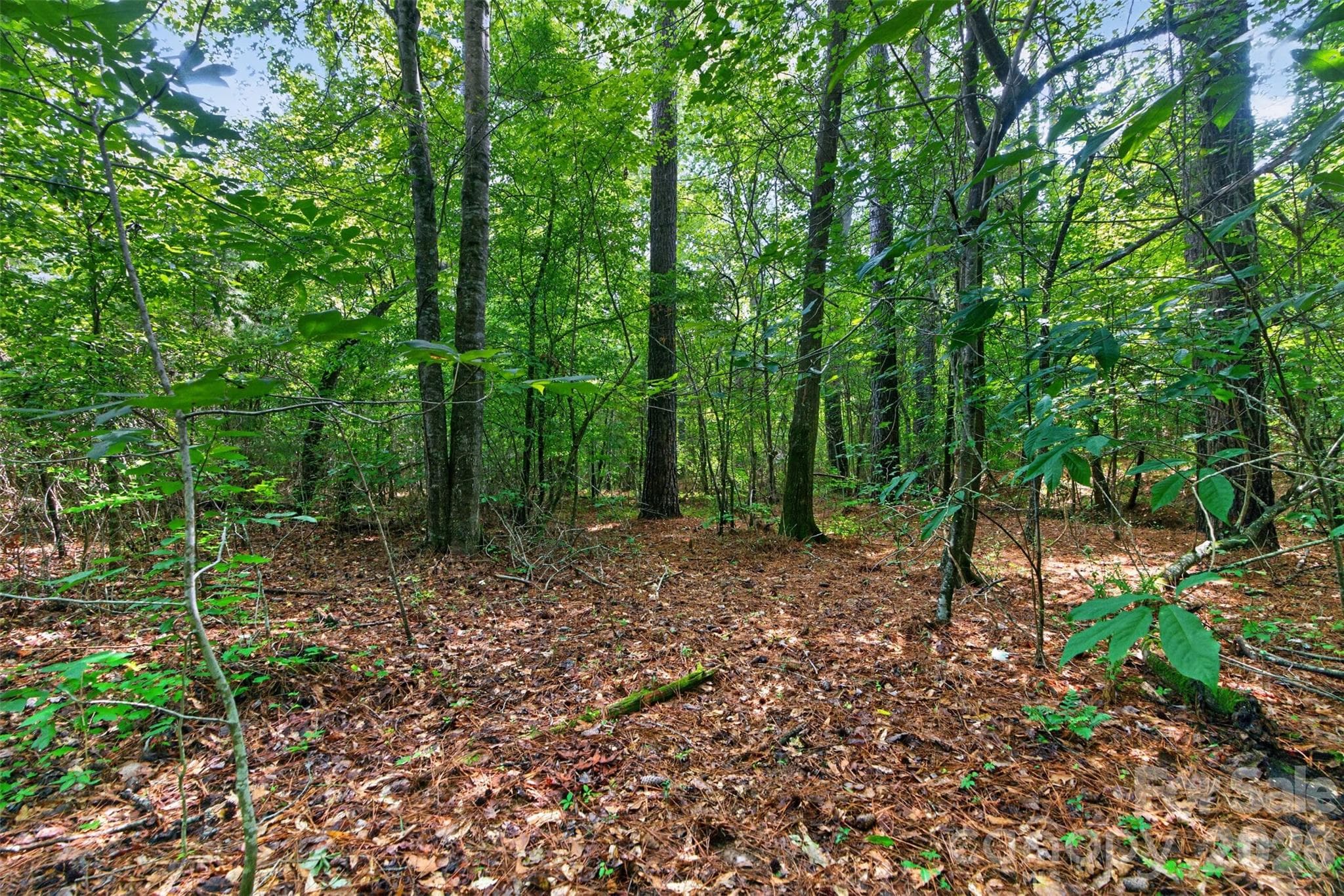 Acreage at 0000 Westbrook Road, Edgemoor, photo 24 of 48
