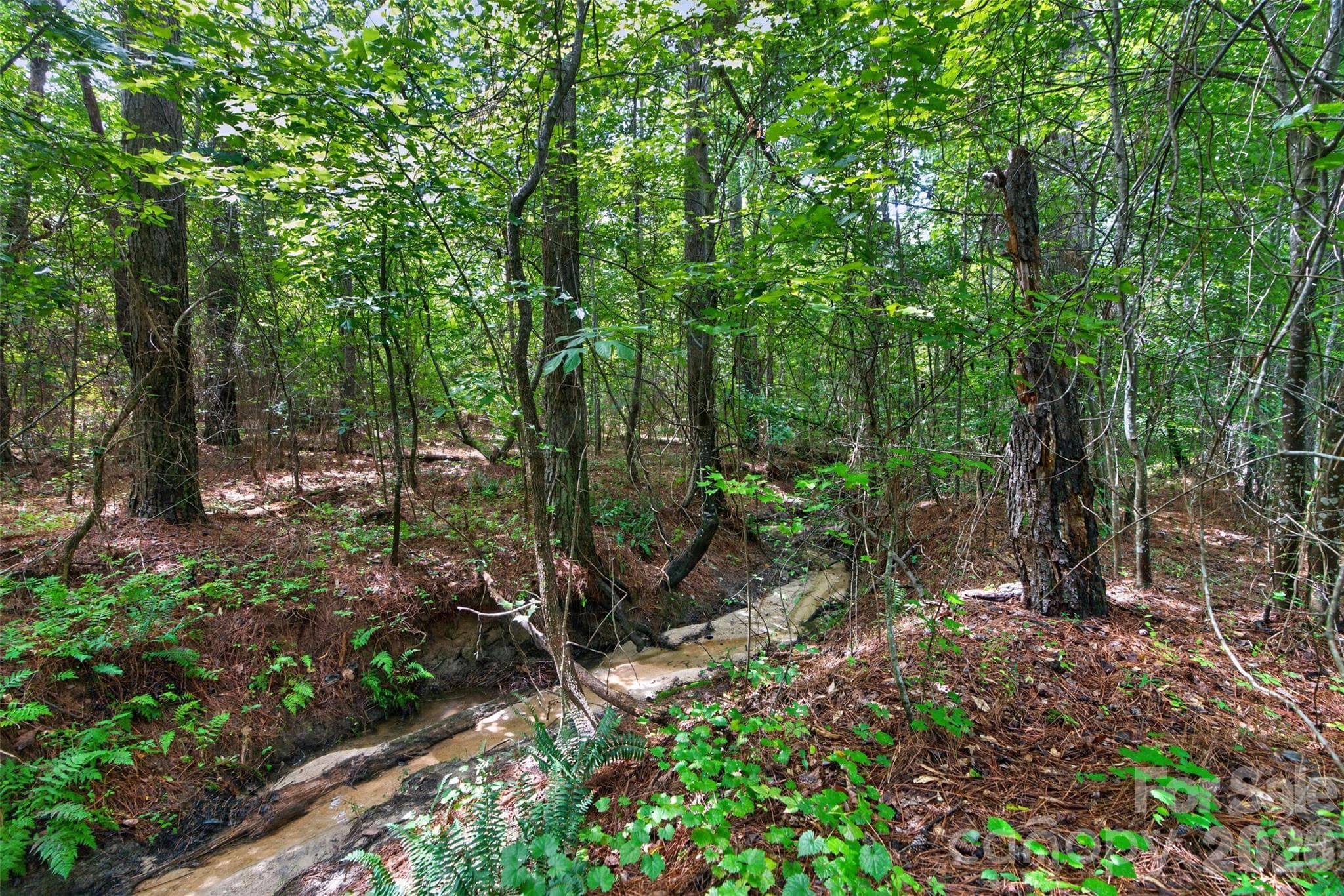 Acreage at 0000 Westbrook Road, Edgemoor, photo 26 of 48