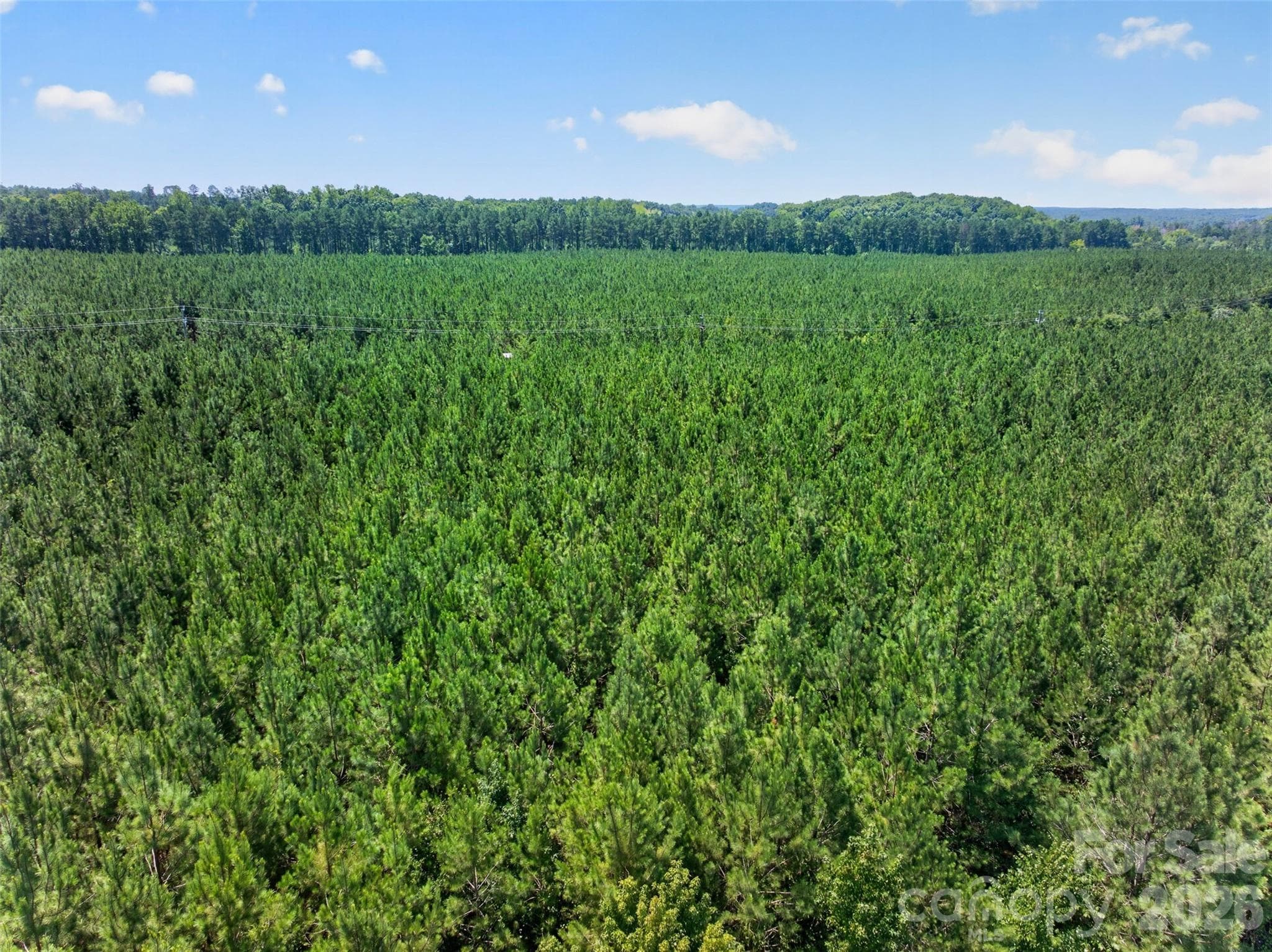 Acreage at 0000 Westbrook Road, Edgemoor, photo 31 of 48