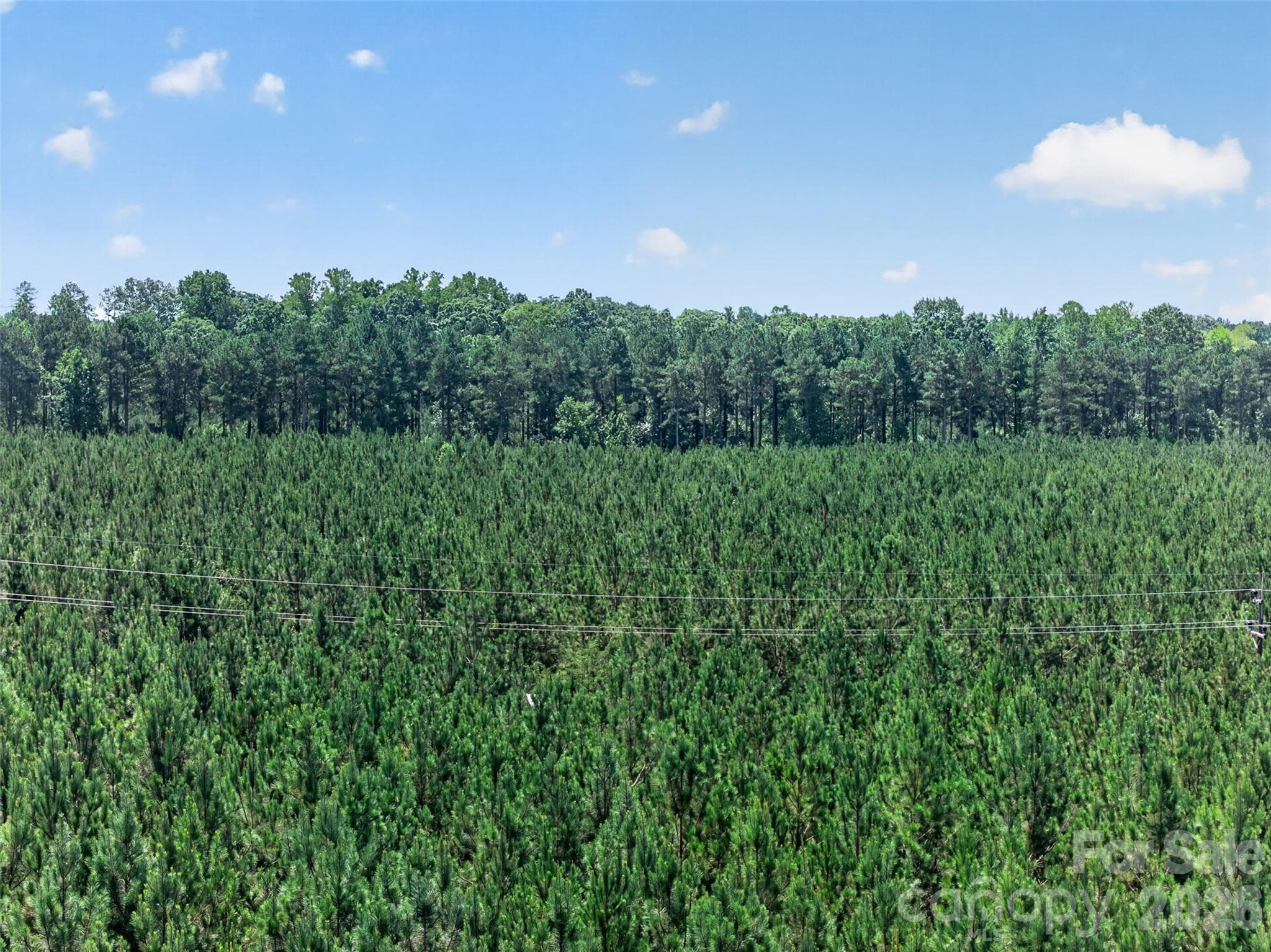 Acreage at 0000 Westbrook Road, Edgemoor, photo 32 of 48