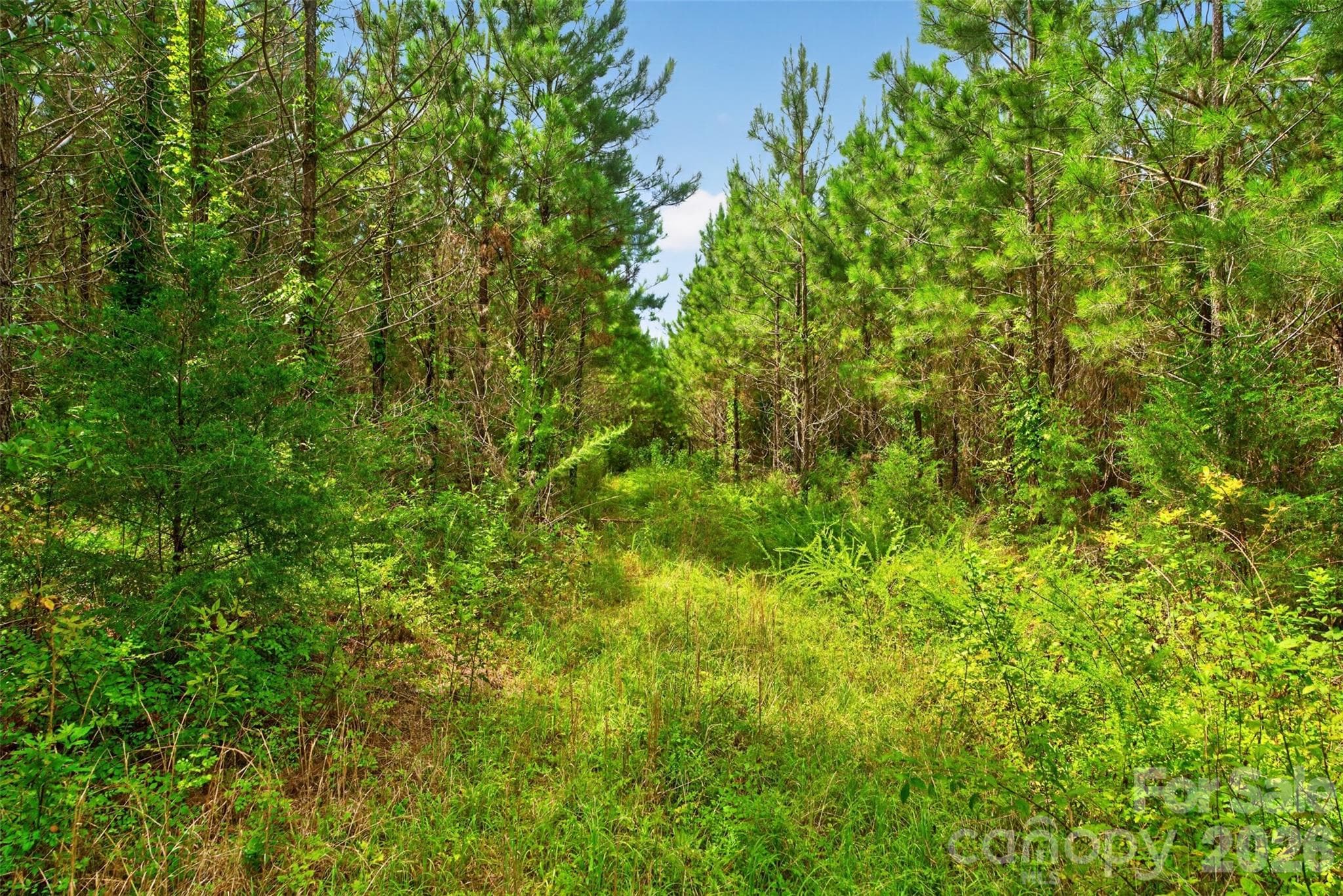 Acreage at 0000 Westbrook Road, Edgemoor, photo 36 of 48