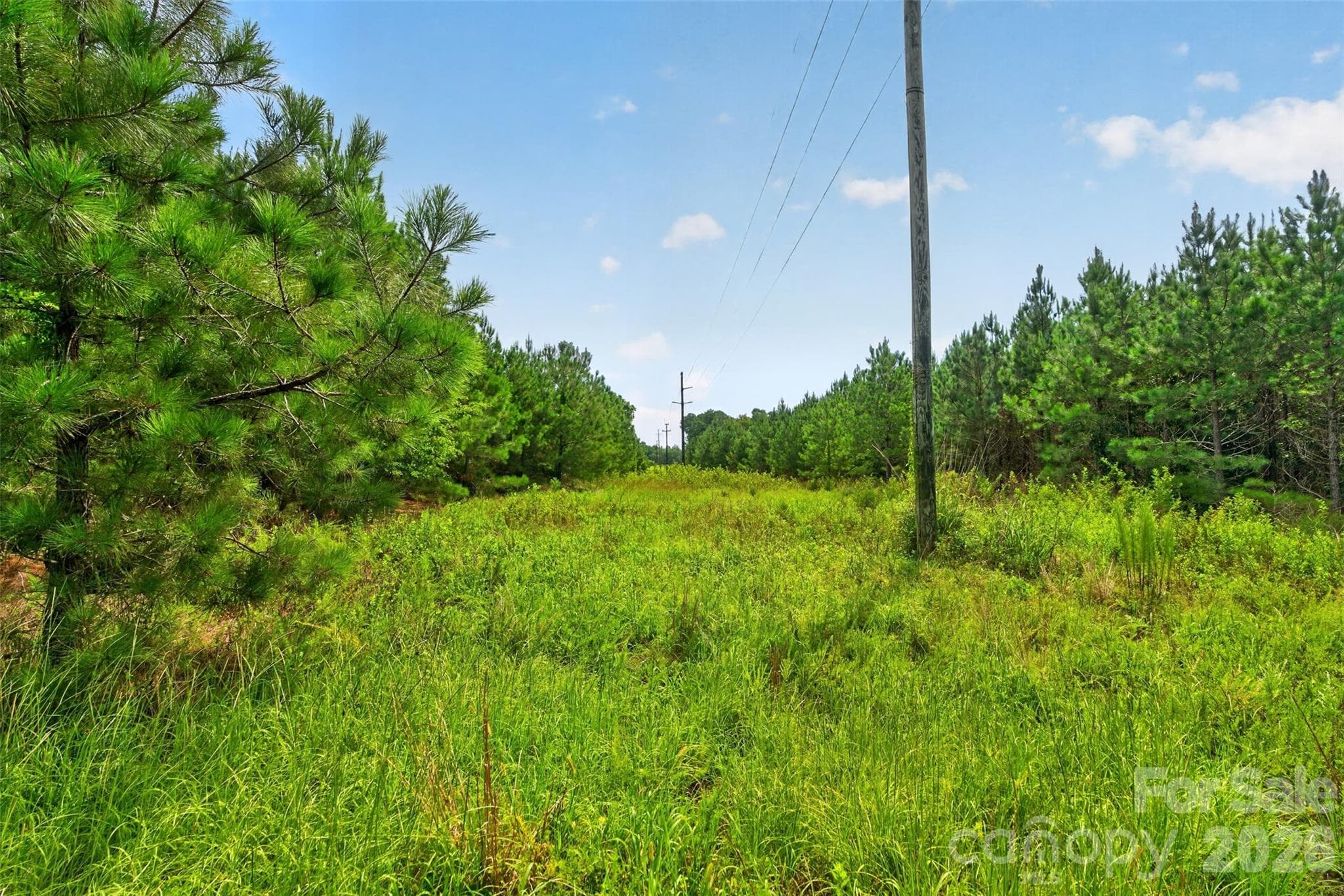 Acreage at 0000 Westbrook Road, Edgemoor, photo 38 of 48