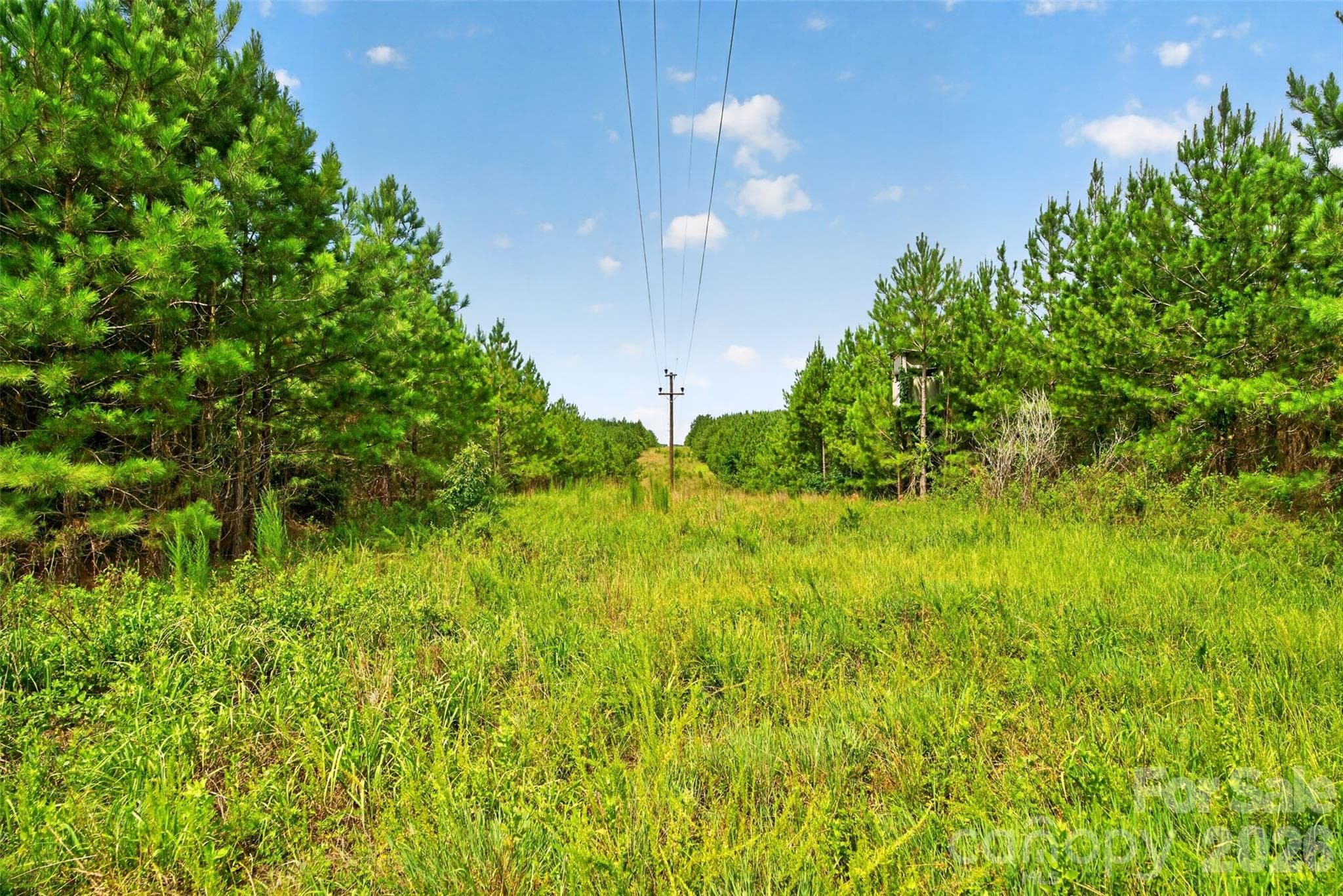 Acreage at 0000 Westbrook Road, Edgemoor, photo 39 of 48
