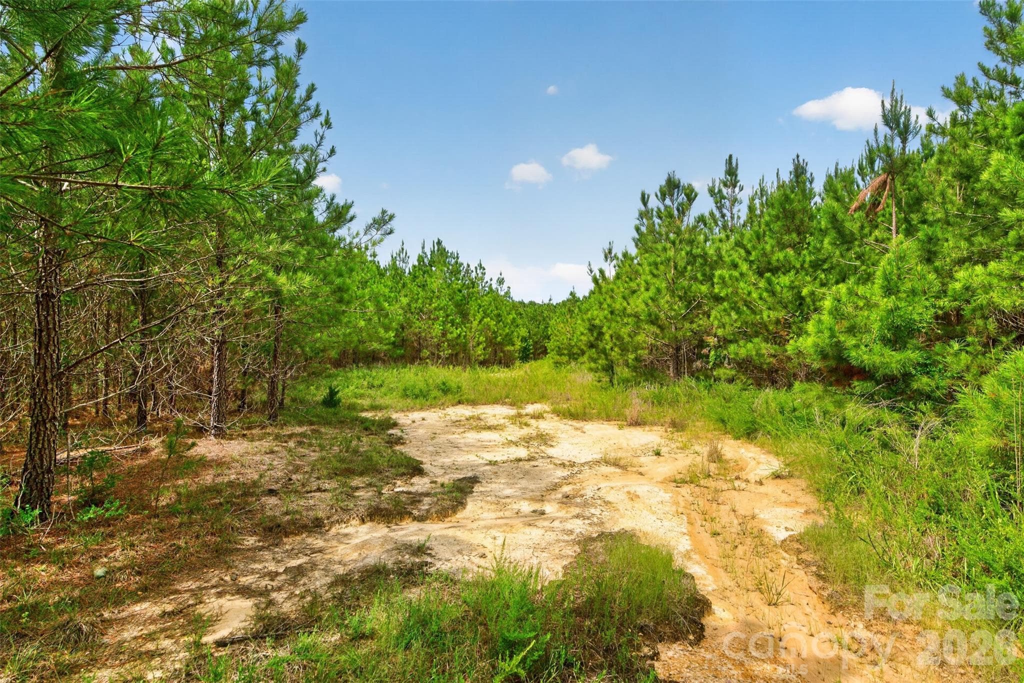 Acreage at 0000 Westbrook Road, Edgemoor, photo 40 of 48