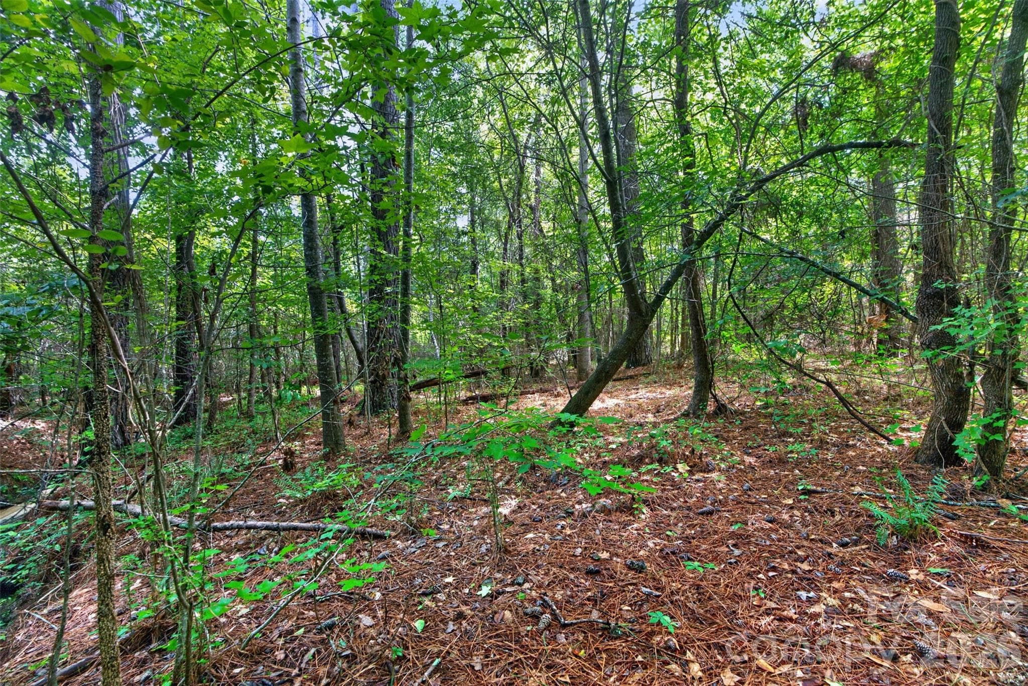 Acreage at 0000 Westbrook Road, Edgemoor, photo 41 of 48