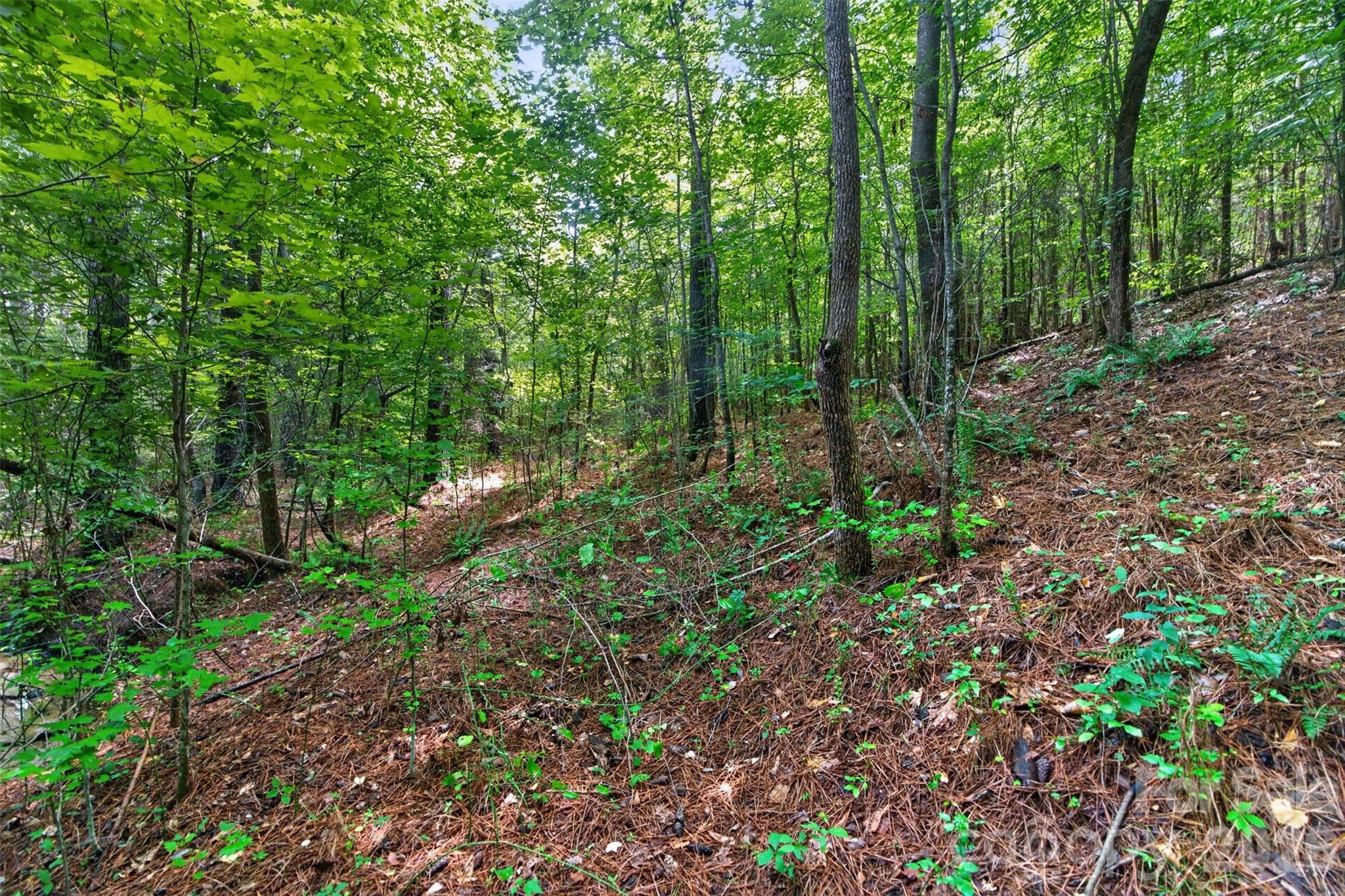Acreage at 0000 Westbrook Road, Edgemoor, photo 43 of 48
