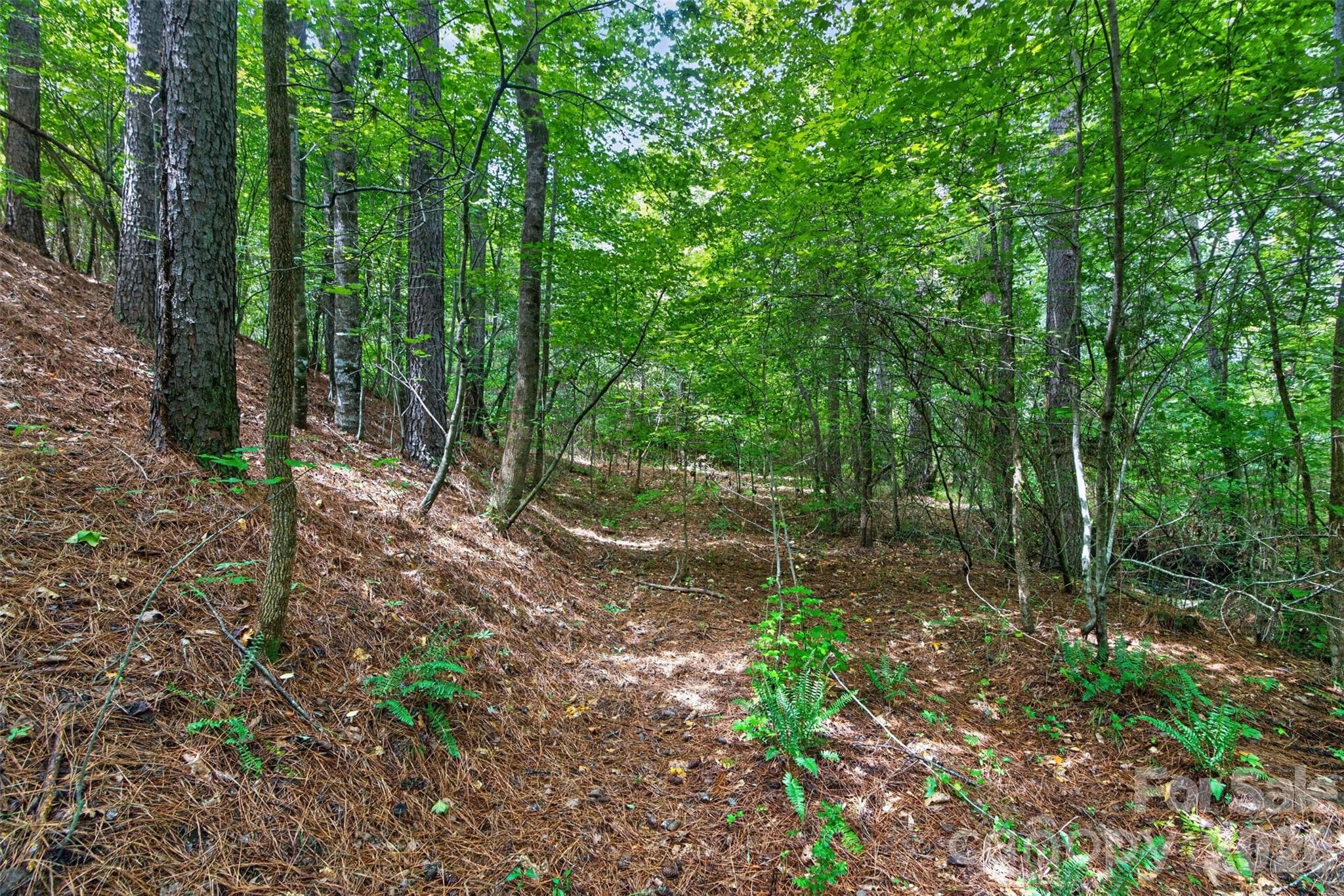 Acreage at 0000 Westbrook Road, Edgemoor, photo 44 of 48