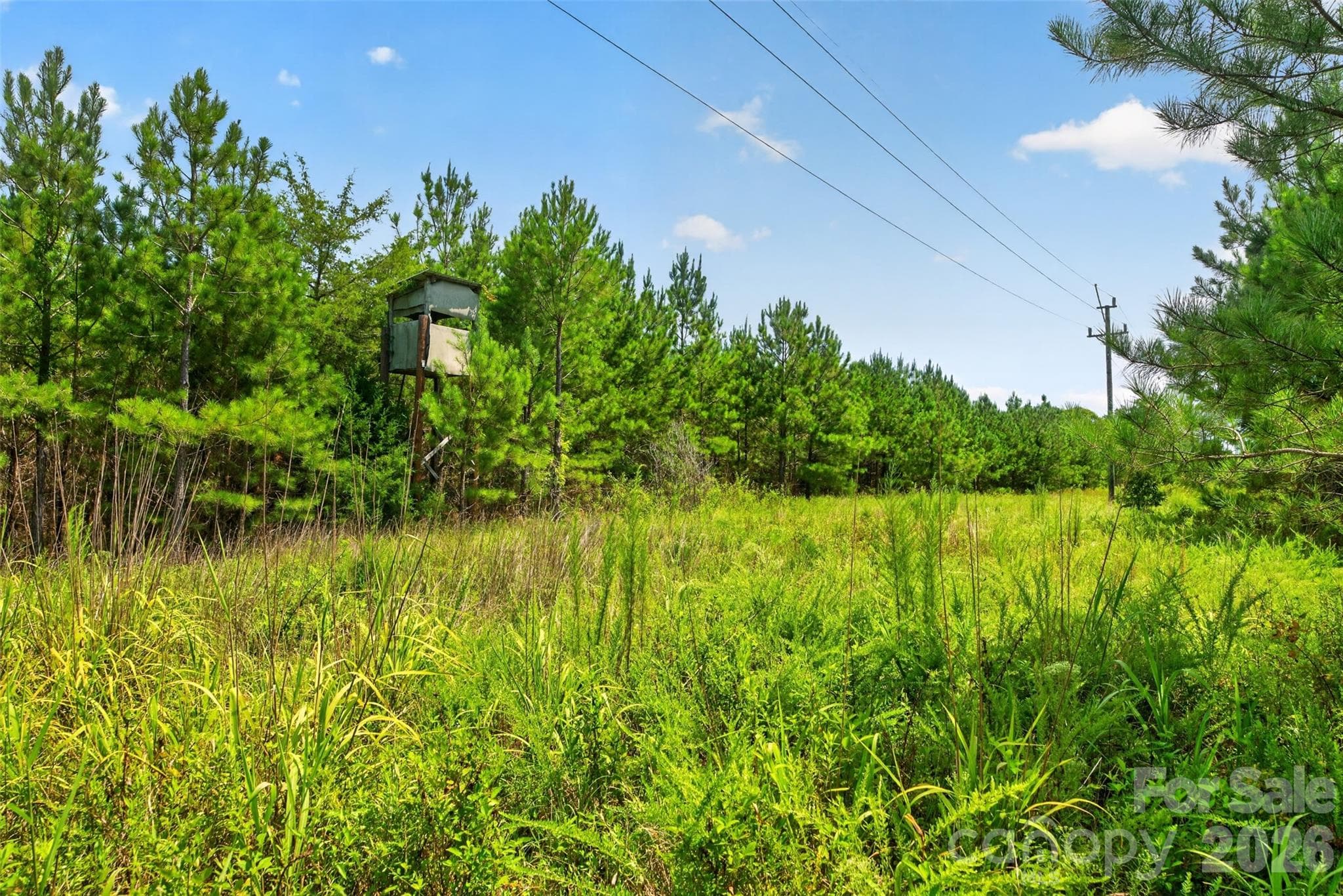 Acreage at 0000 Westbrook Road, Edgemoor, photo 47 of 48