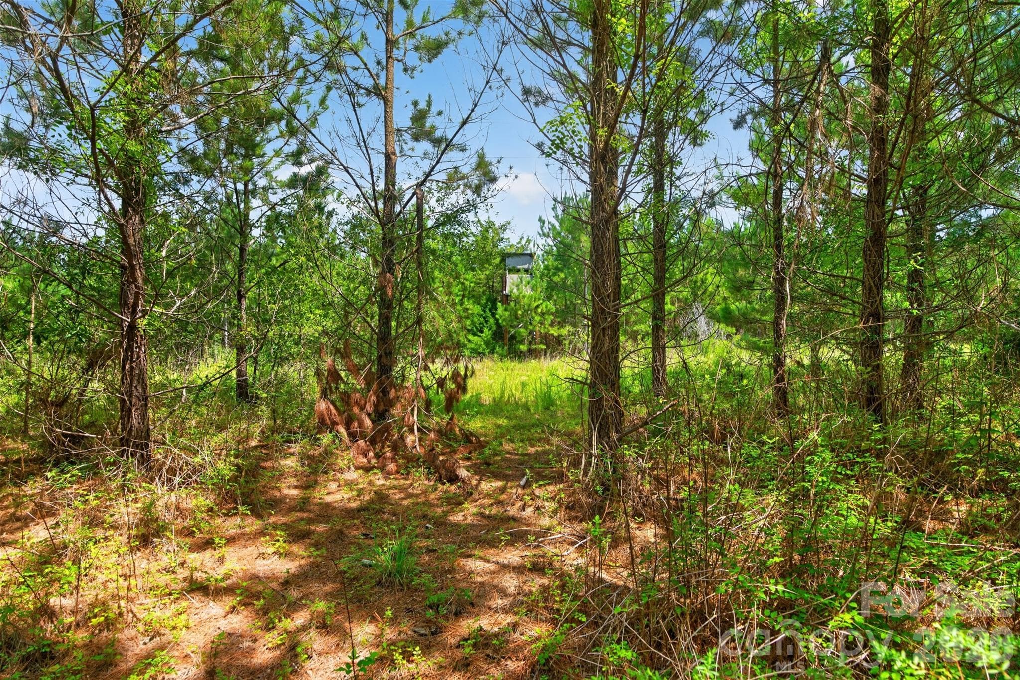 Acreage at 0000 Westbrook Road, Edgemoor, photo 48 of 48