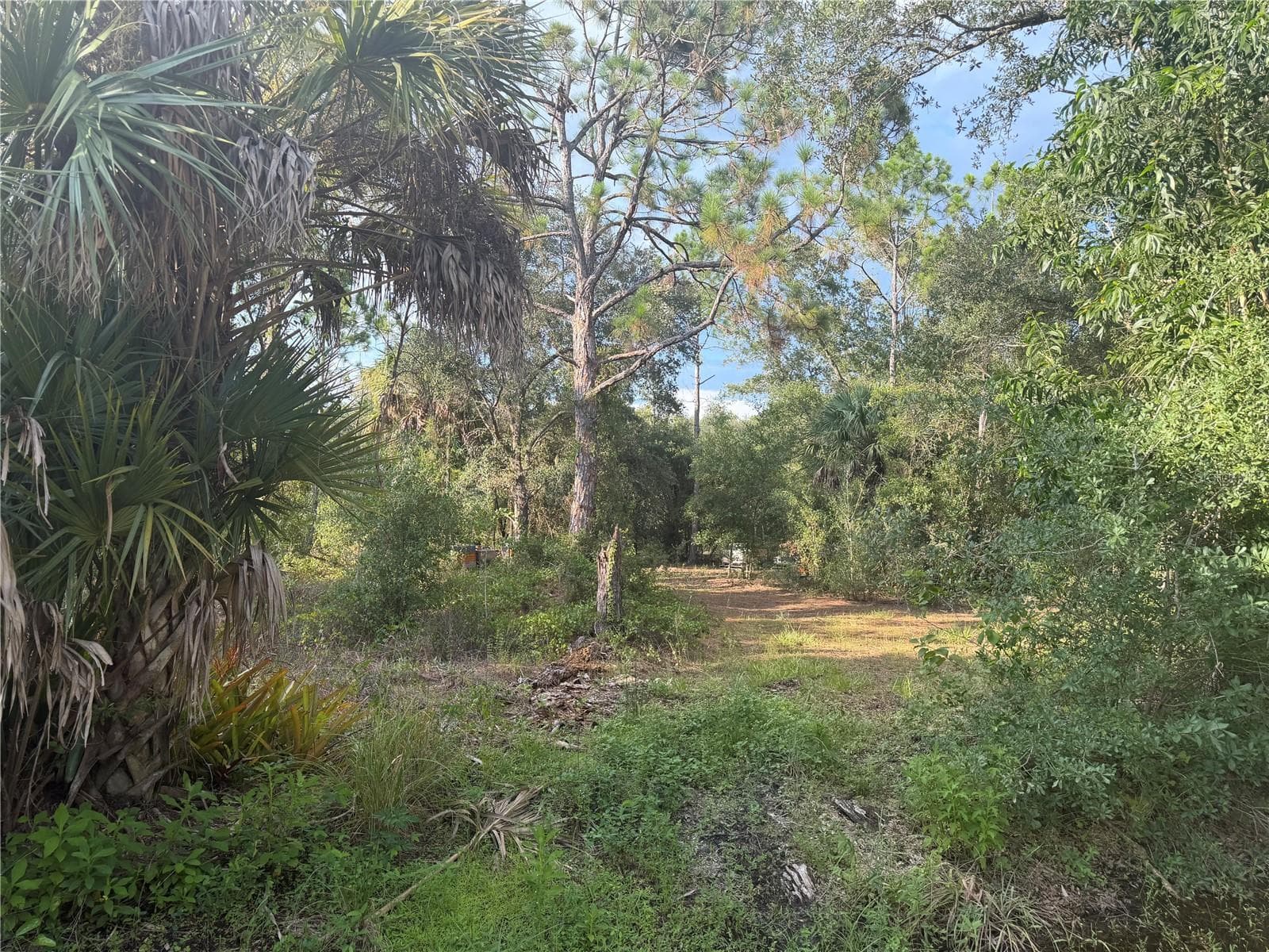 Land at 28202 ALATADENA DR, PUNTA GORDA, photo 4 of 4