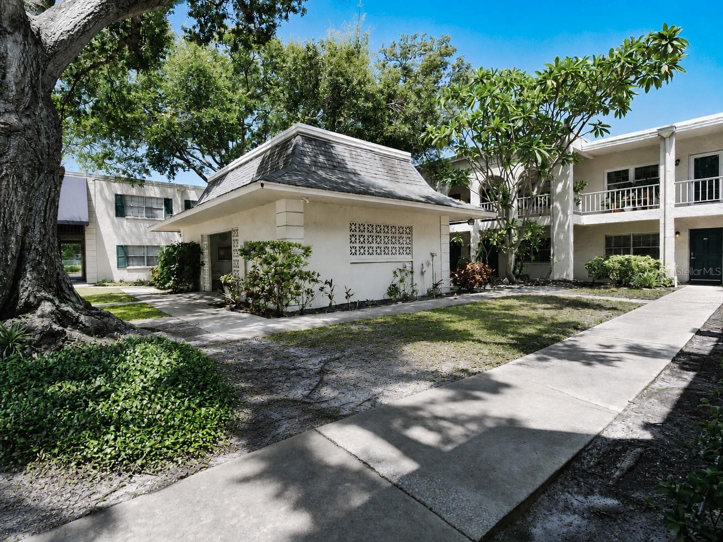 Condominium at 4335 AEGEAN DR #116A, TAMPA, photo 23 of 44