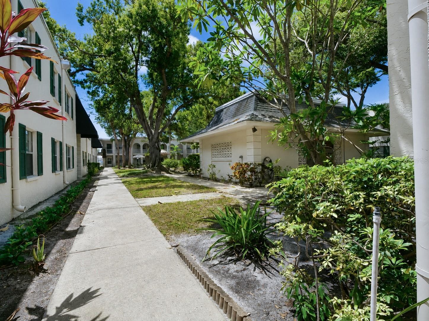 Condominium at 4335 AEGEAN DR #116A, TAMPA, photo 35 of 44