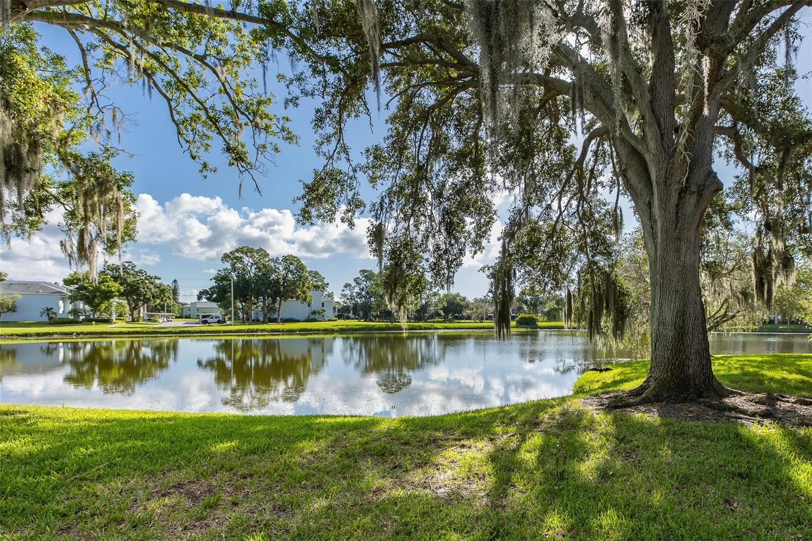 Condominium at 160 LAKEVIEW WAY #160, OLDSMAR, photo 26 of 36