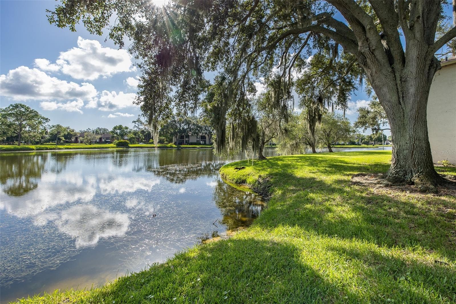Condominium at 160 LAKEVIEW WAY #160, OLDSMAR, photo 27 of 36