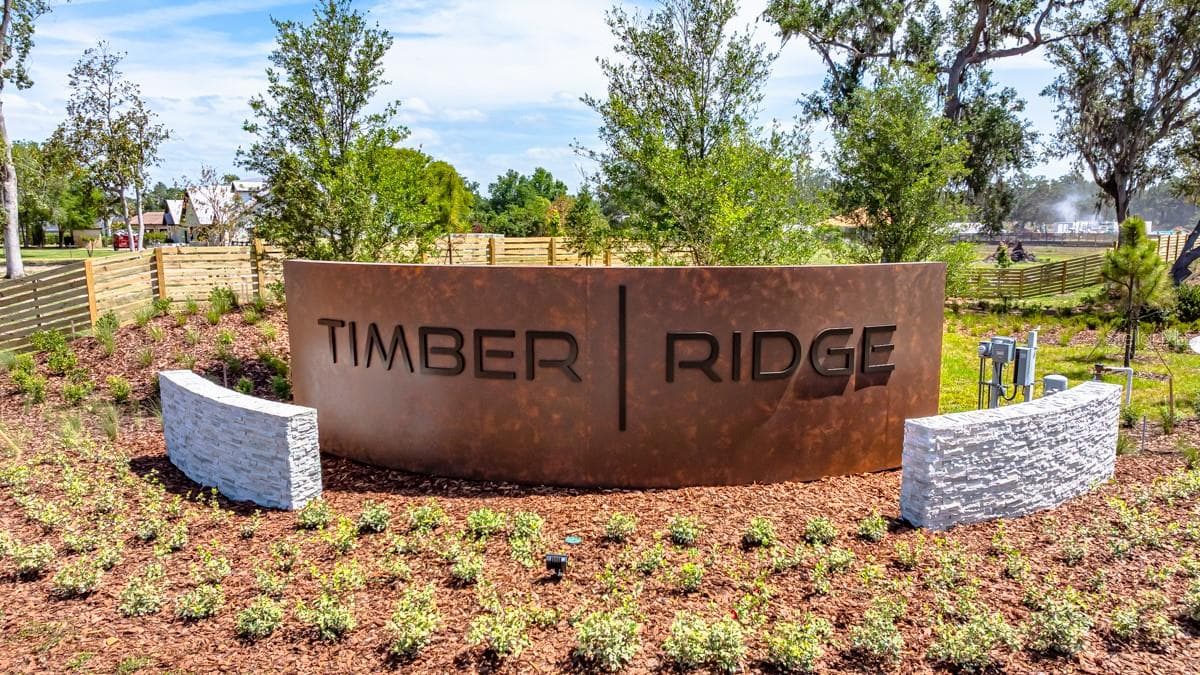 Timber Ridge Community - 3023 PARAPET TERRACE PL, PLANT CITY