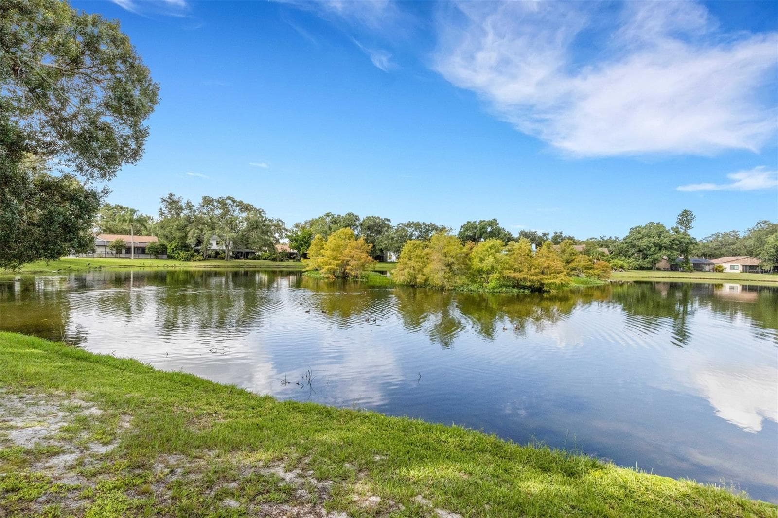 Single Family Residence at 3476 SHADY BROOK LN, SARASOTA, photo 56 of 60