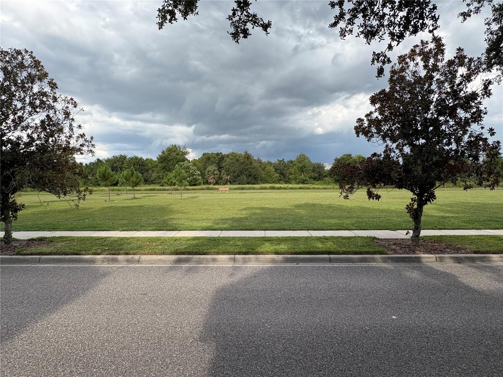 Open space across street - 7430 BENTONSHIRE AVE, WINDERMERE