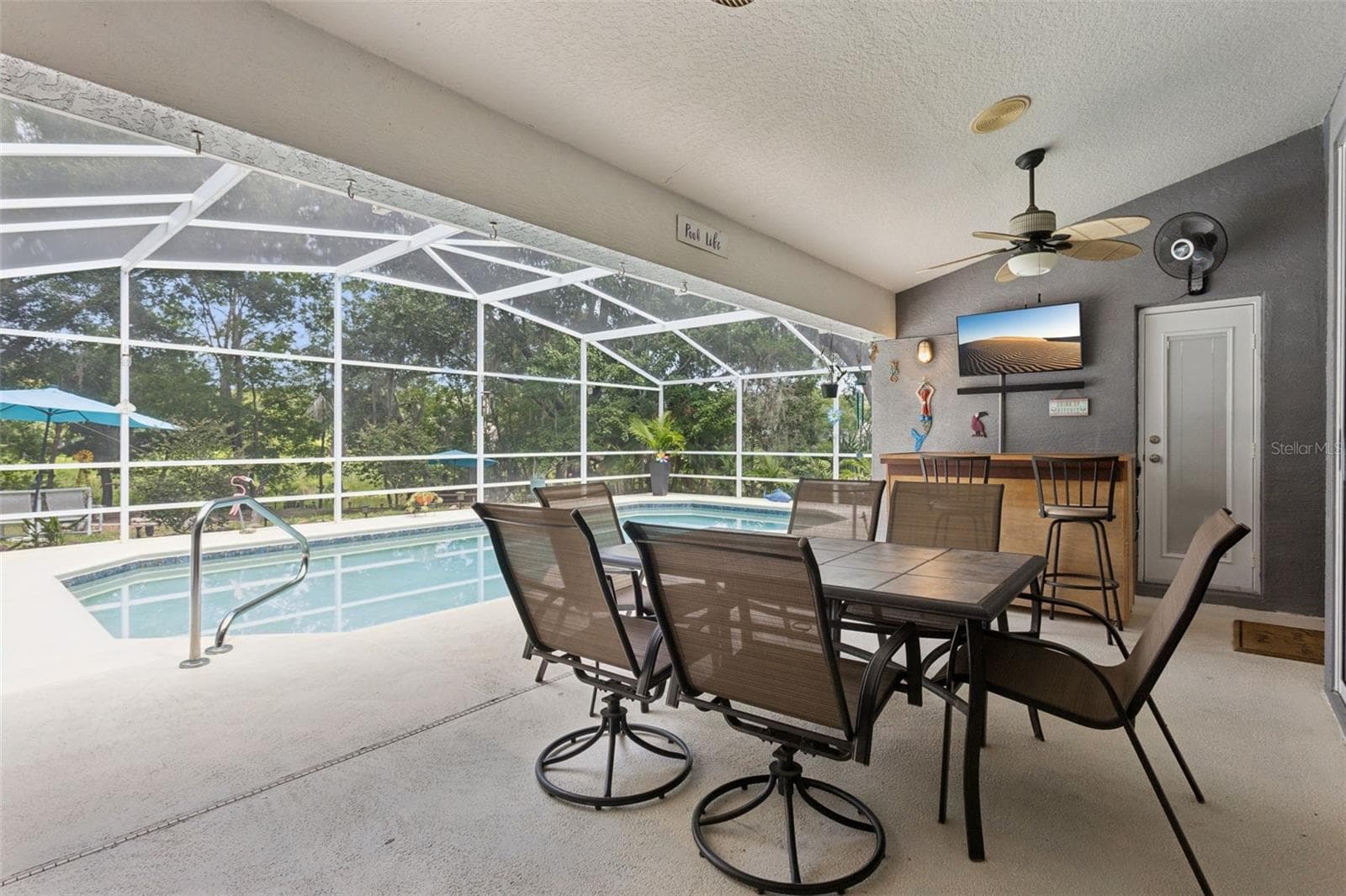 Pool/Lanai - 33440 LAKE BEND CIR, LEESBURG