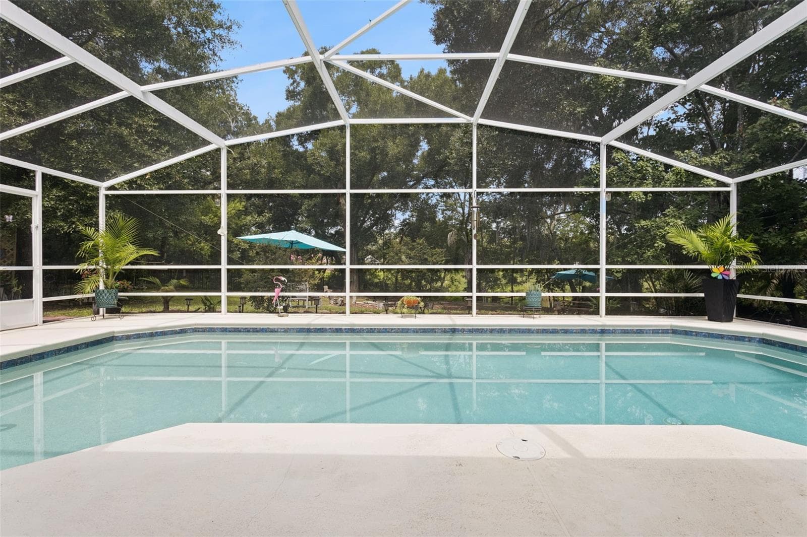 Pool - 33440 LAKE BEND CIR, LEESBURG