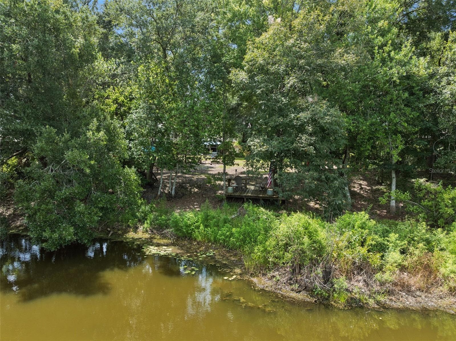 Pond View - 33440 LAKE BEND CIR, LEESBURG