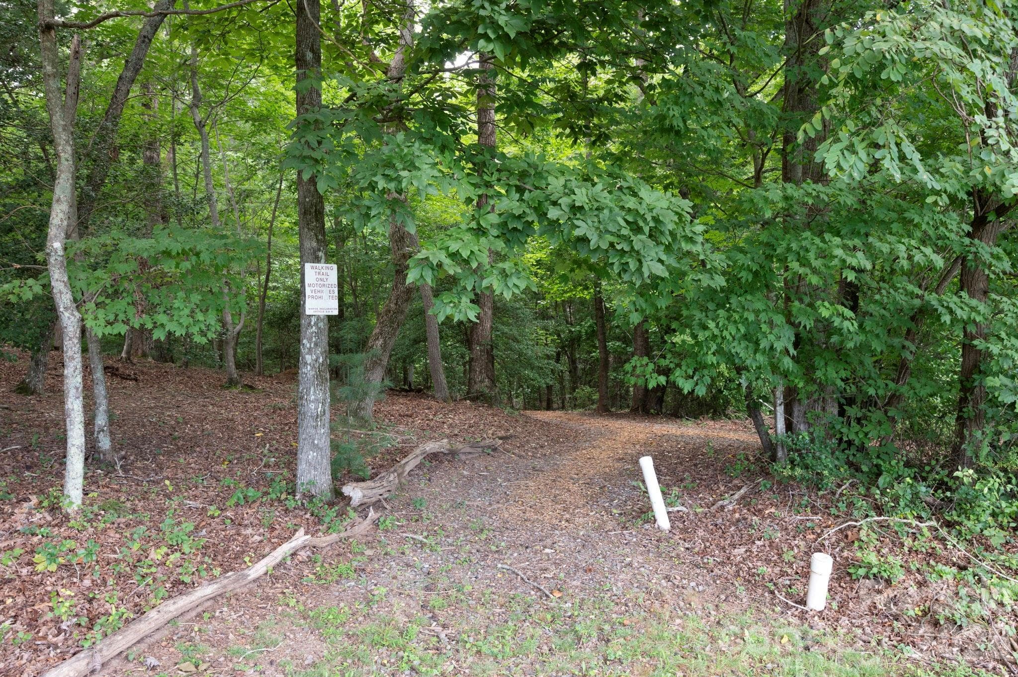 Walking Trails - 16 Britton Knoll Pass, Arden
