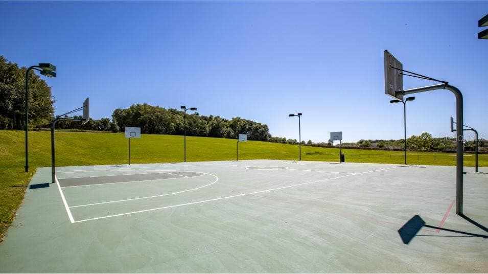 Amenities - 6124 SWAMP BAY DR, EDGEWATER