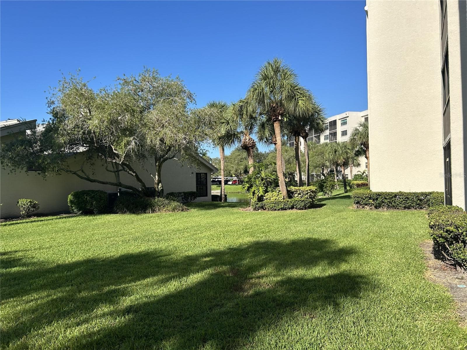 Condominium at 1316 PASADENA AVE S #102, SOUTH PASADENA, photo 33 of 63