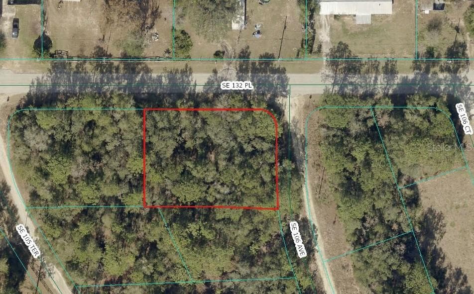 Aerial view - 00 SE 132ND PL, OCKLAWAHA