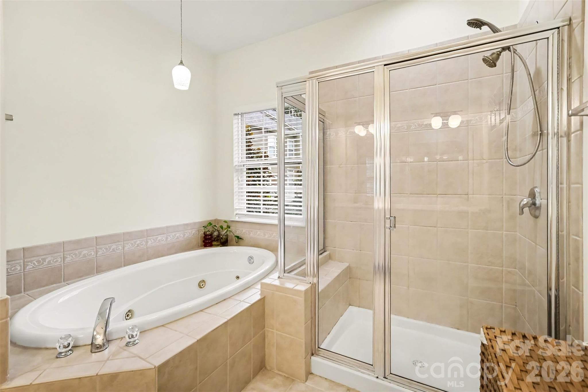 Primary bath wih jetted soaking tub and separate shower - 438 Magnolia Street, Davidson