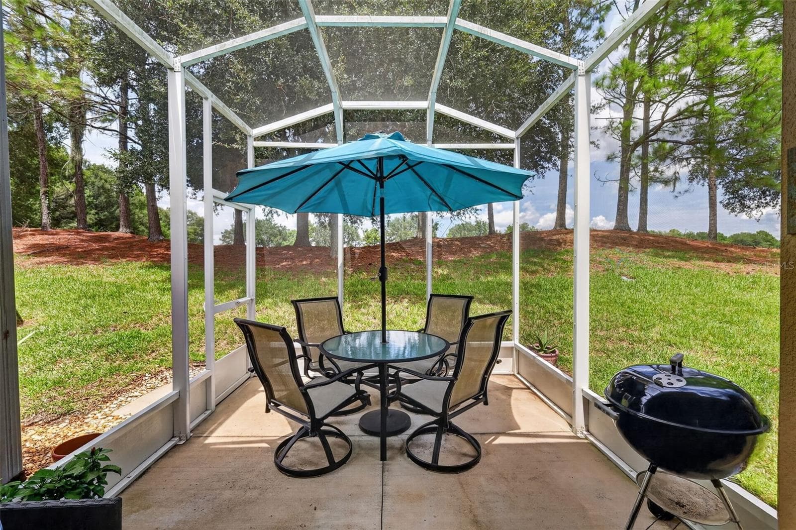 Screened-in Porch - 26951 WHITE PLAINS WAY, LEESBURG