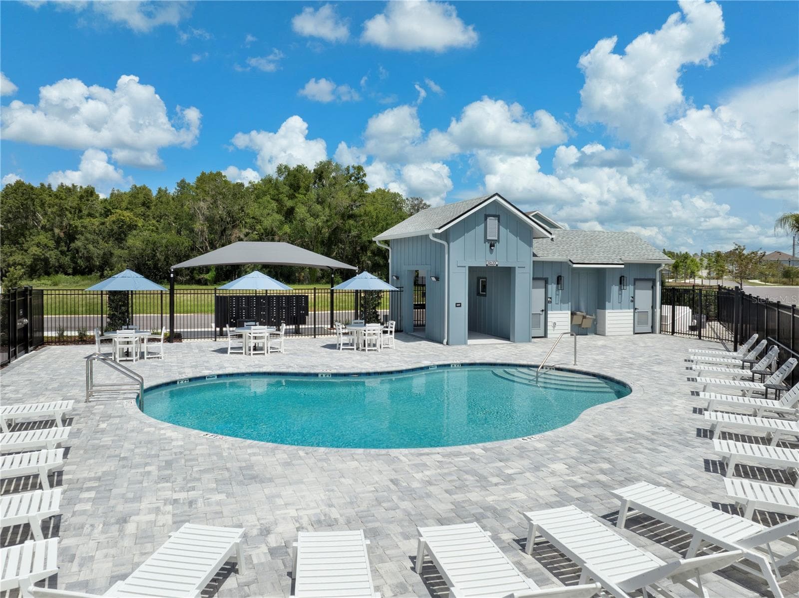 Community Amenities - 3542 CASPIAN CHERVIL ST, WESLEY CHAPEL