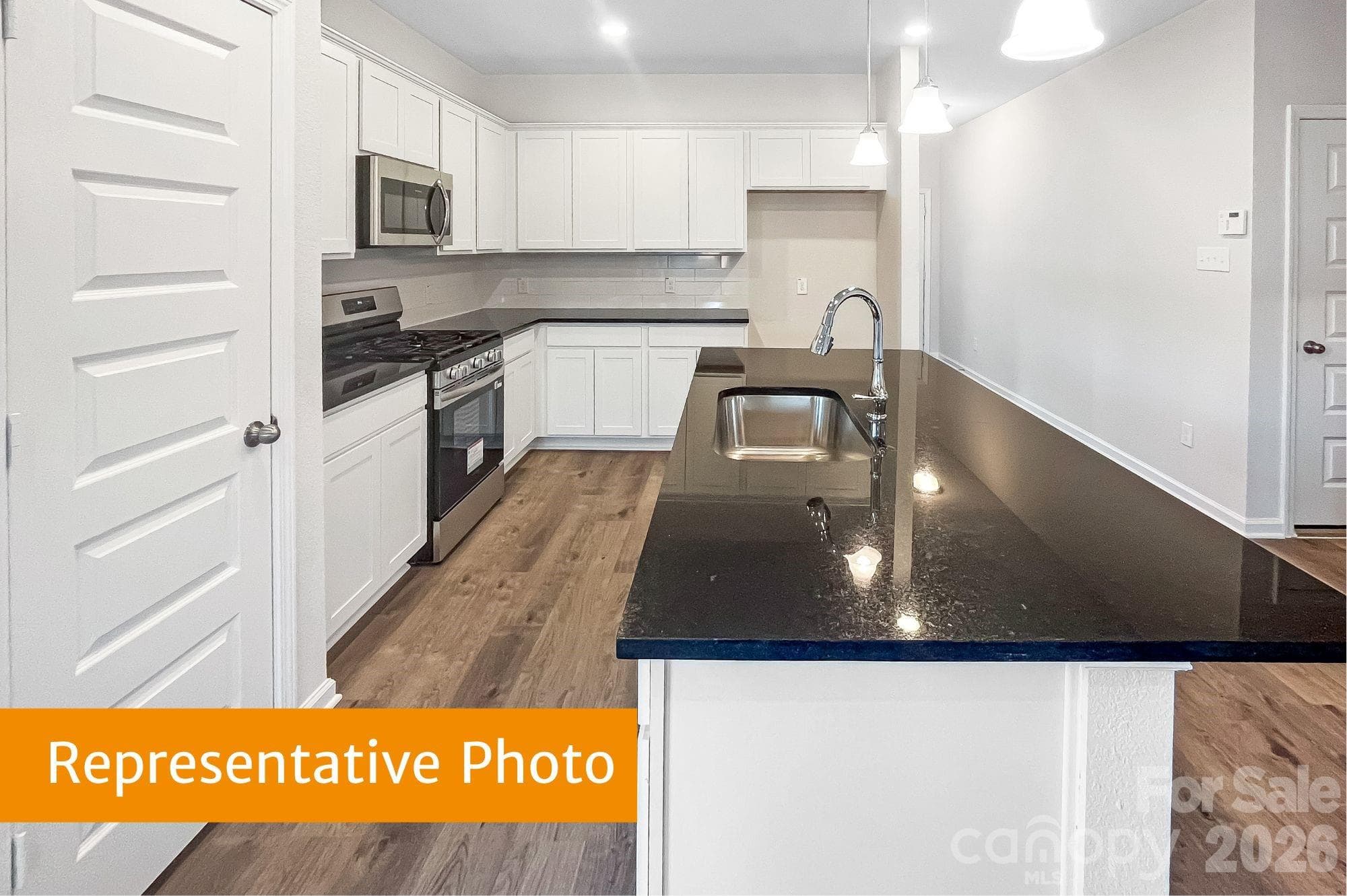 Single Family Residence at 4145 Ruth Creek Court, Charlotte, photo 5 of 19