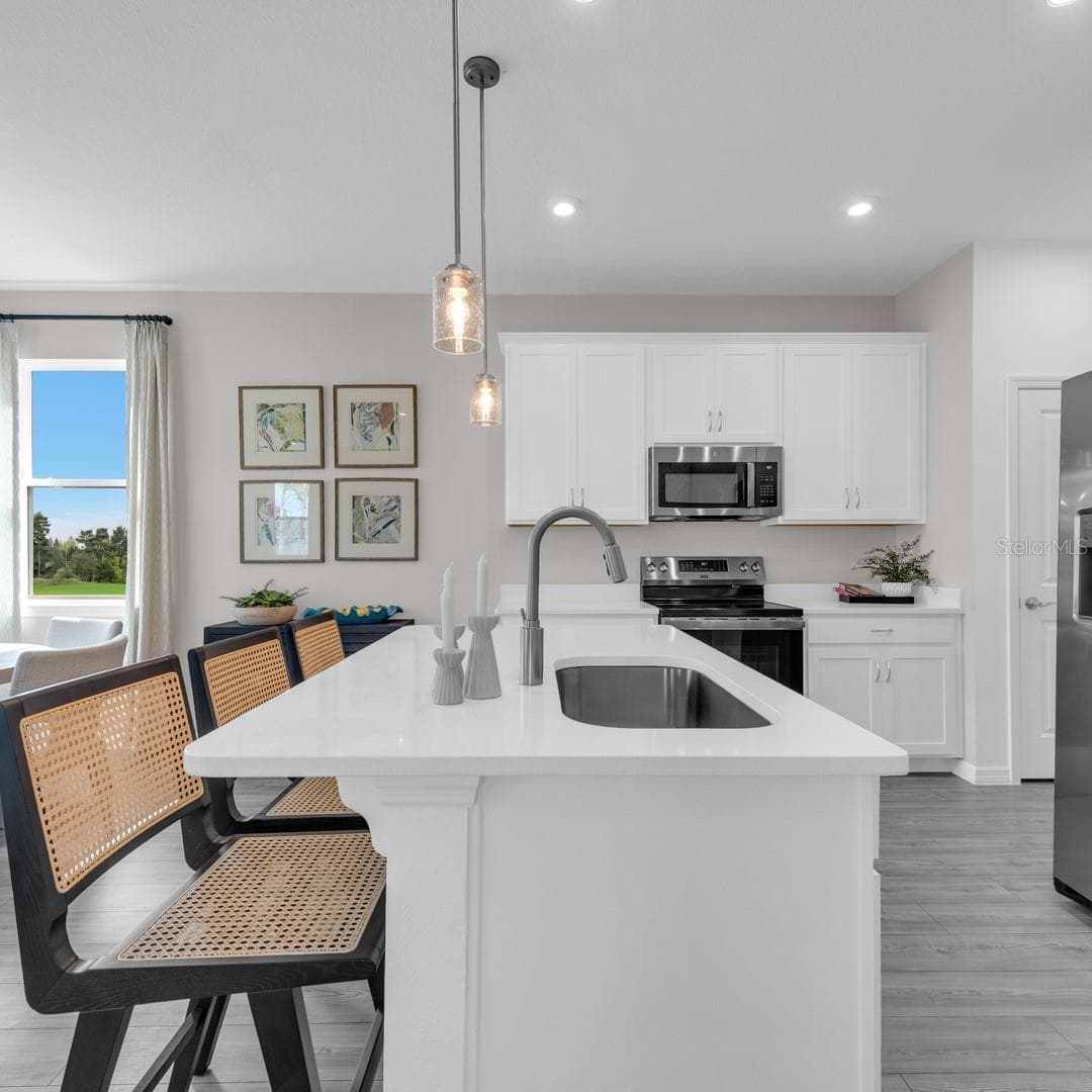 Single Family Residence at 3957 PENTAS RD, TAVARES, photo 9 of 35